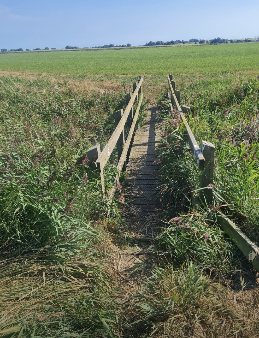 COASTAL TRAIL RUNNERS 's image