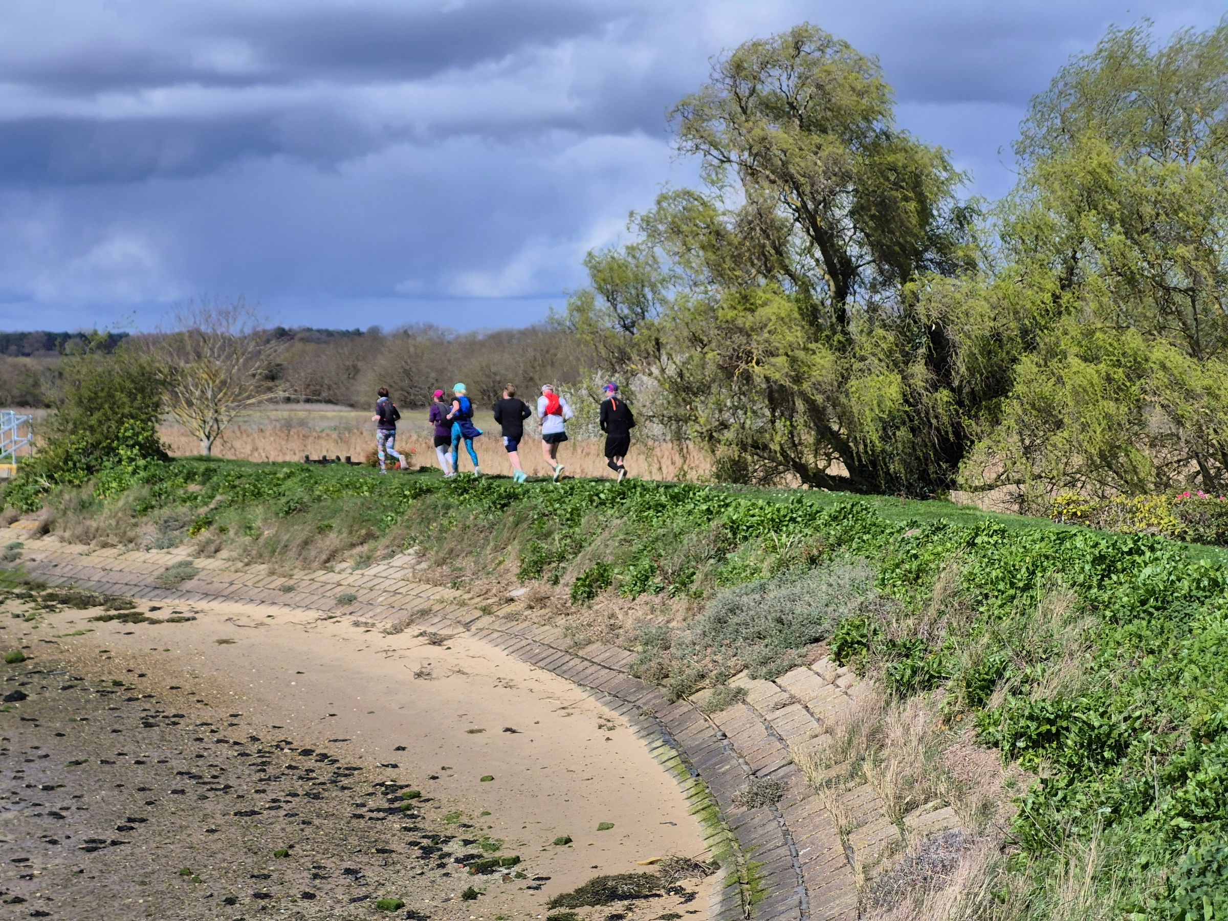 COASTAL TRAIL RUNNERS 's image