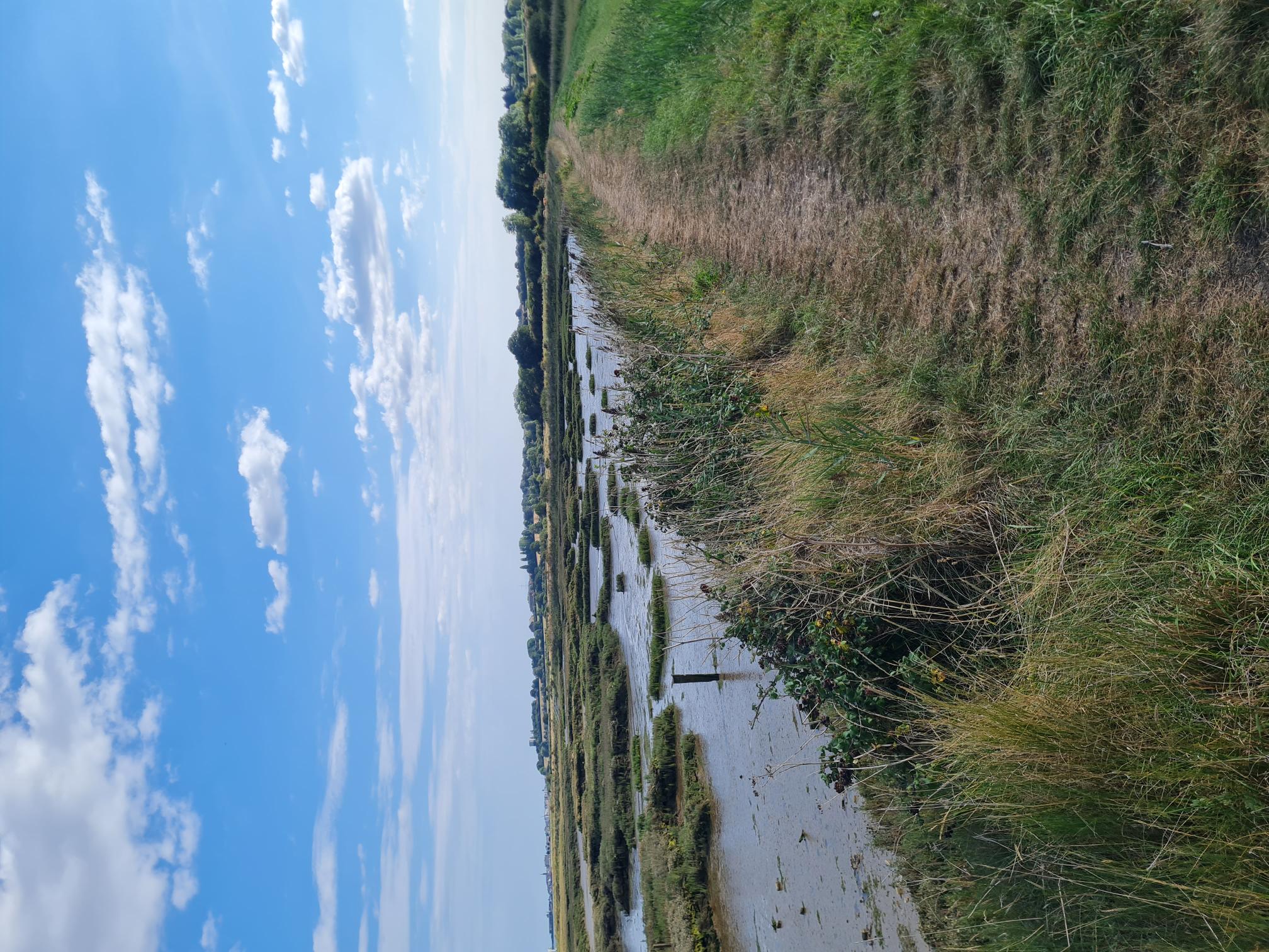 COASTAL TRAIL RUNNERS 's image