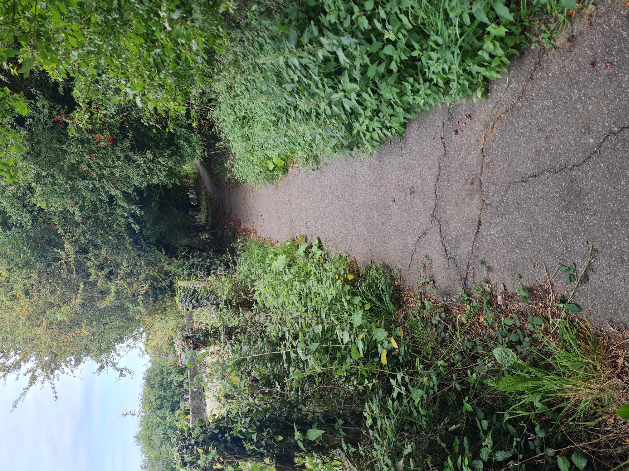 COASTAL TRAIL RUNNERS 's image