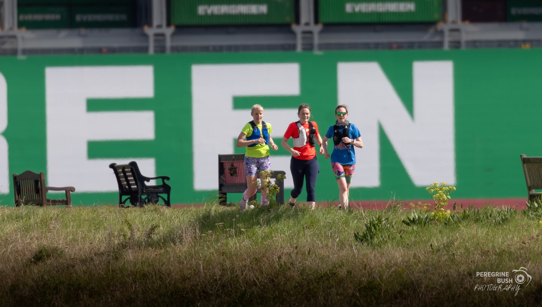 COASTAL TRAIL RUNNERS 's image