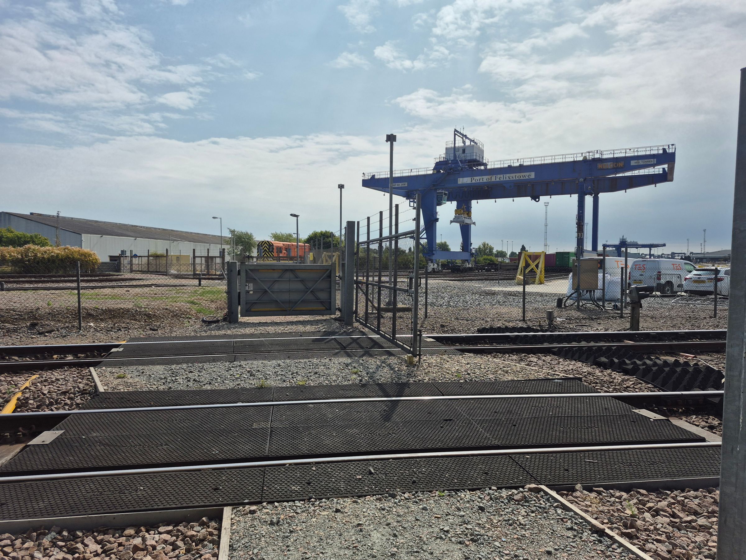 COASTAL TRAIL RUNNERS 's image