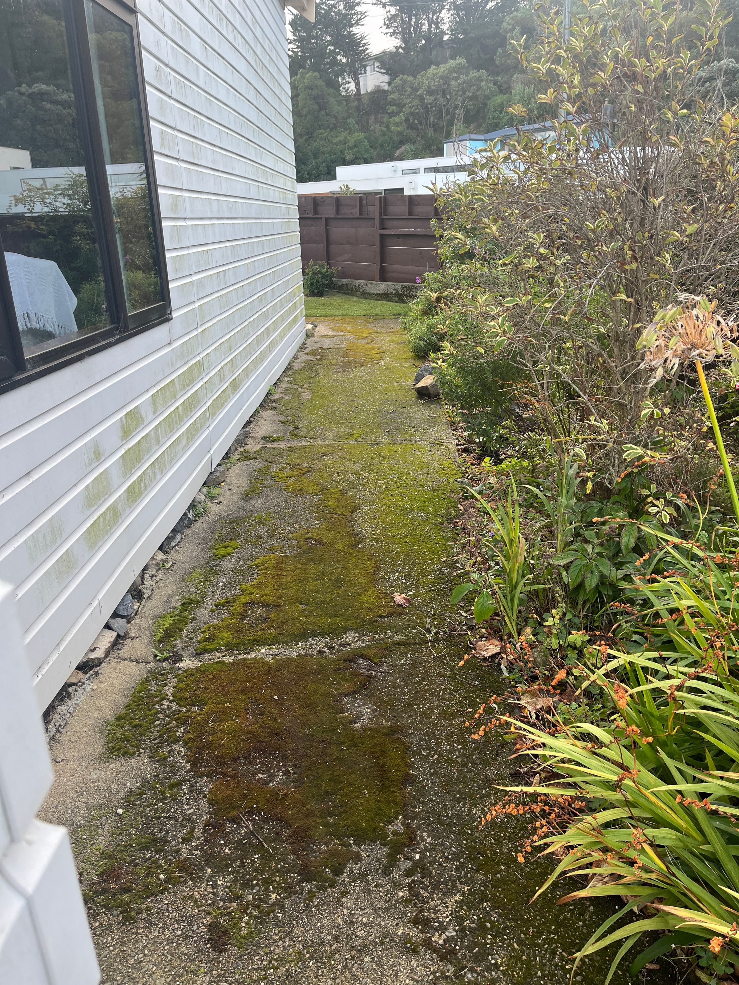 waterblasting's image