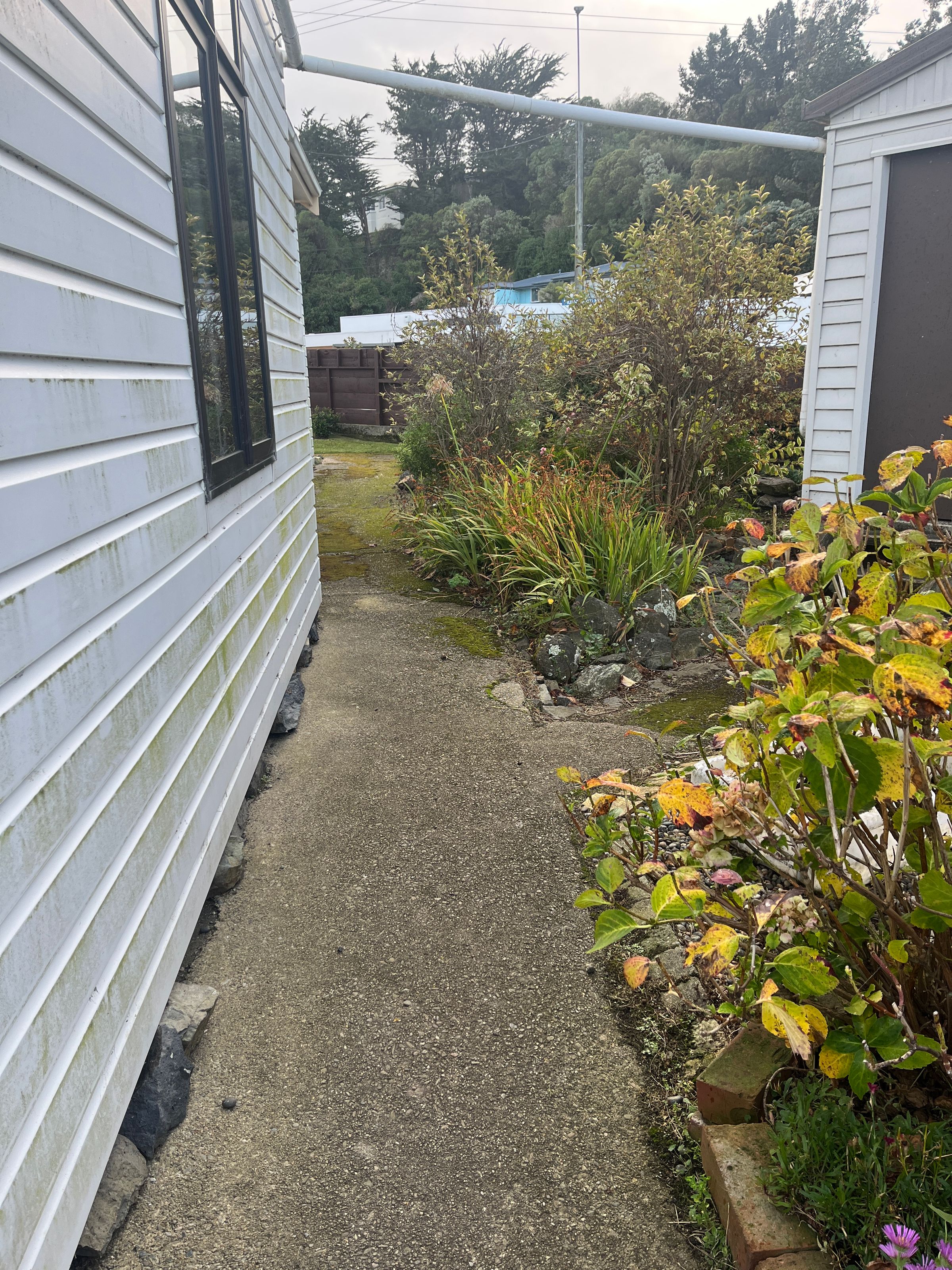 waterblasting's image