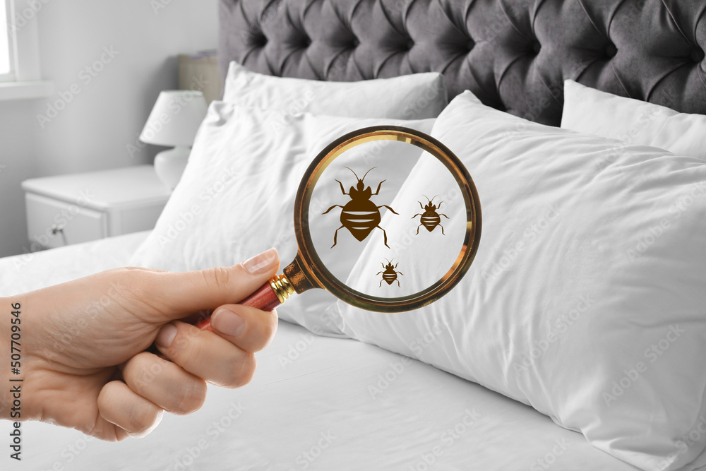 Pest Control Charleston SC | Mac Pest Management 's image