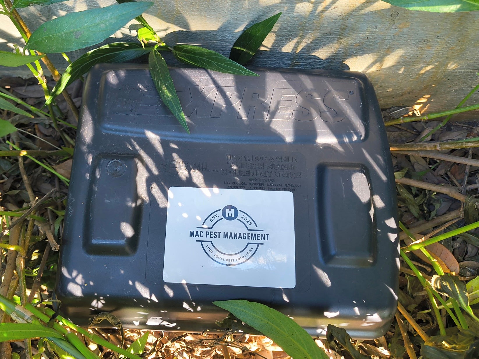 Pest Control Charleston SC | Mac Pest Management 's image