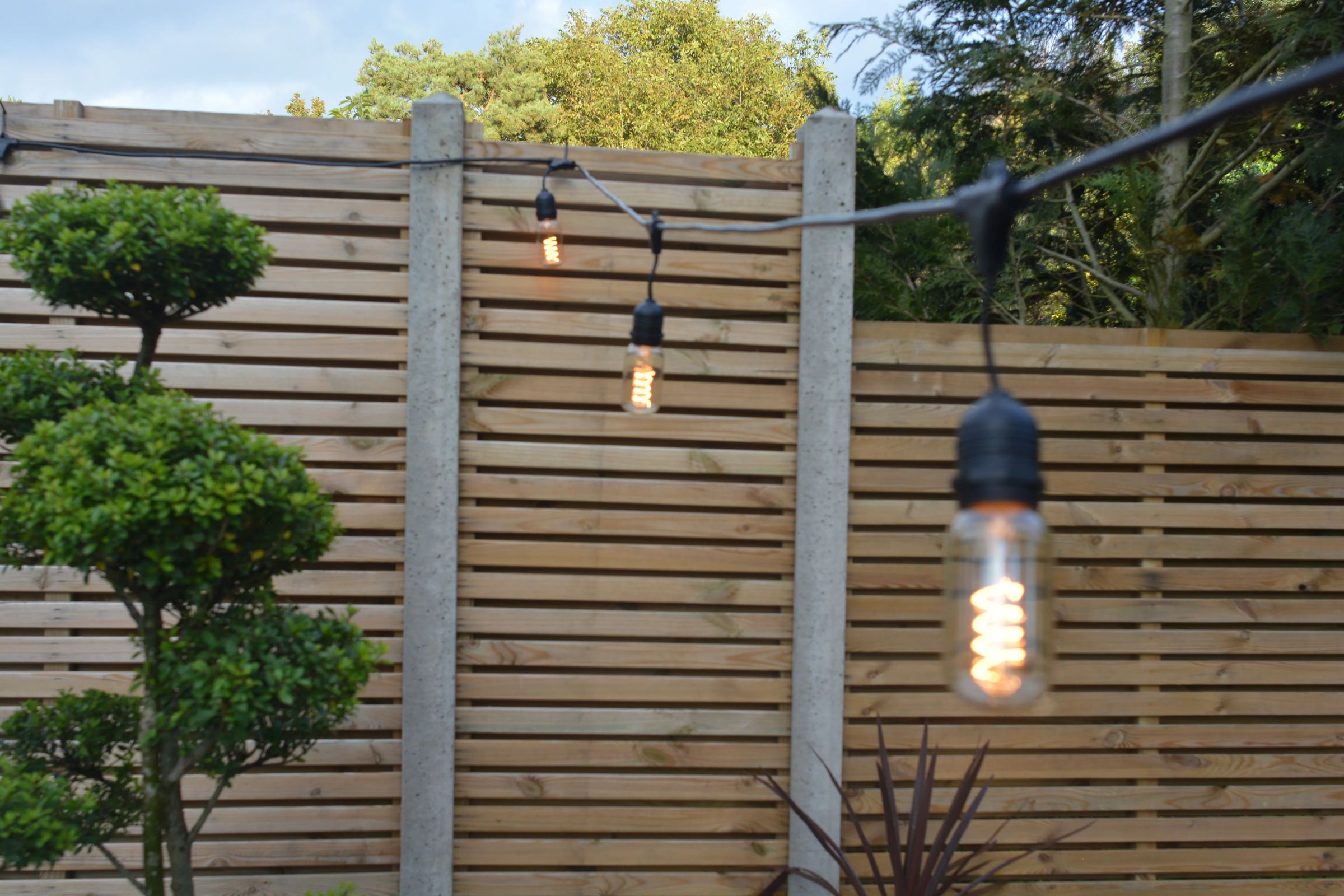 Eagle Garage / Bar Elevators's image