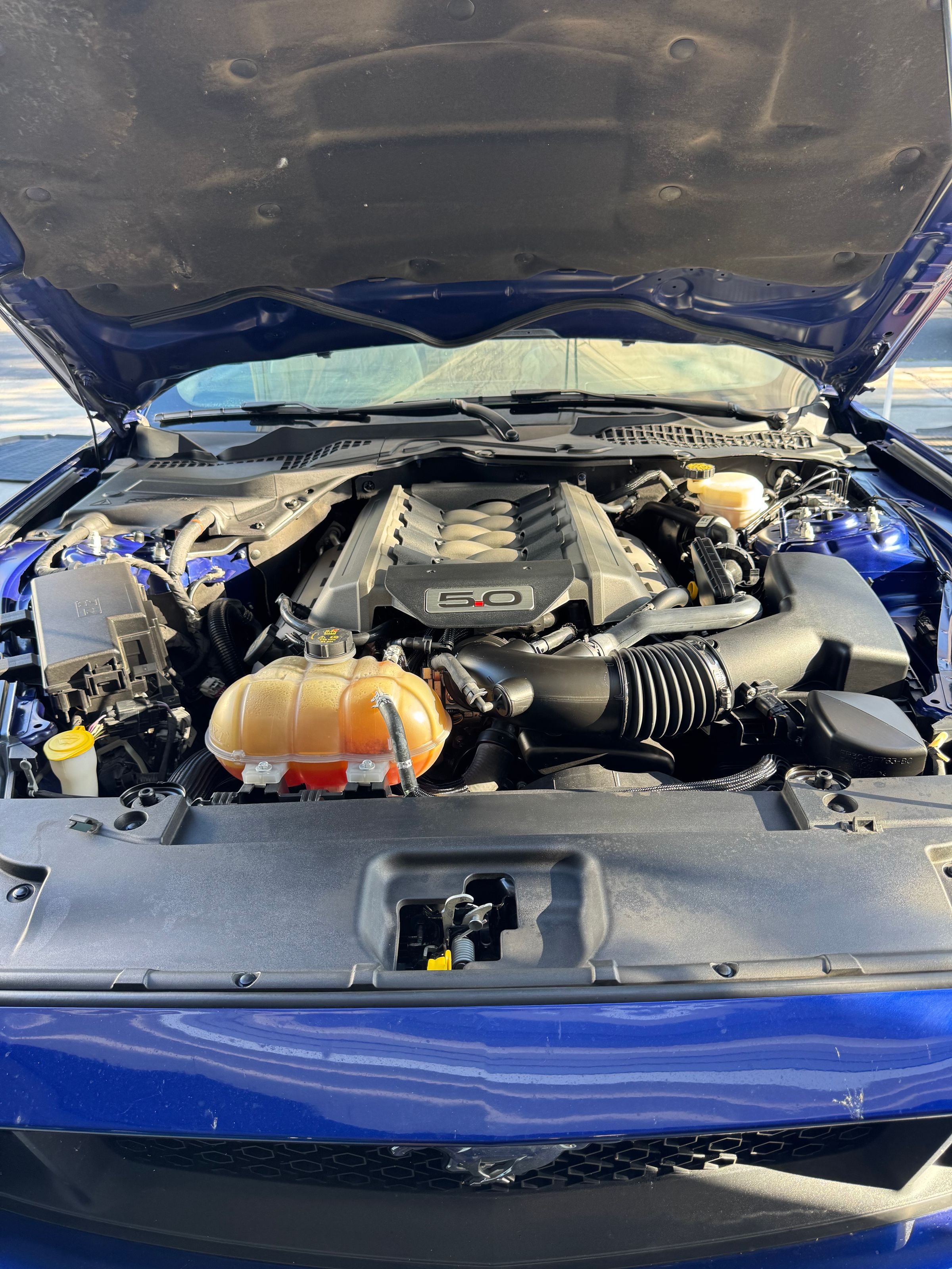 Prototype Mobile Detailing's image