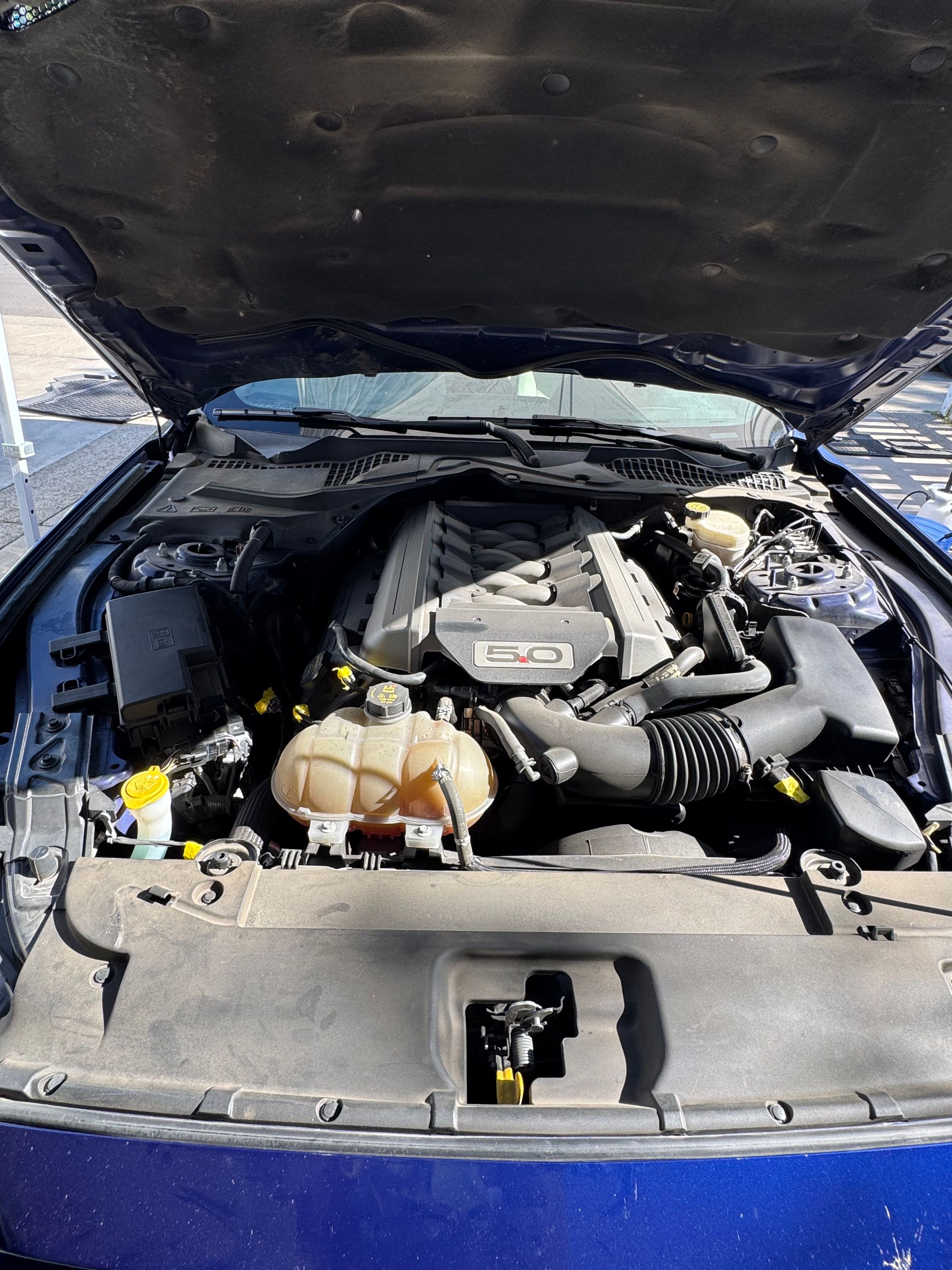 Prototype Mobile Detailing's image