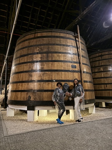 Travel T.E.A.S.E. 's image