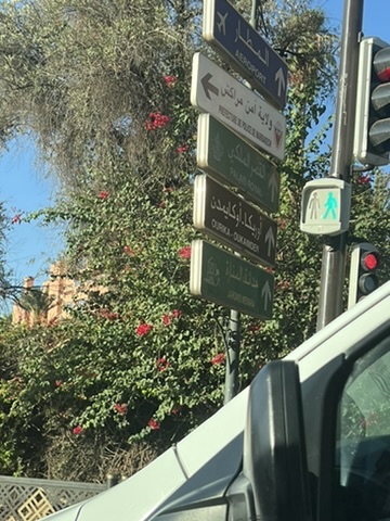 Travel T.E.A.S.E. 's image