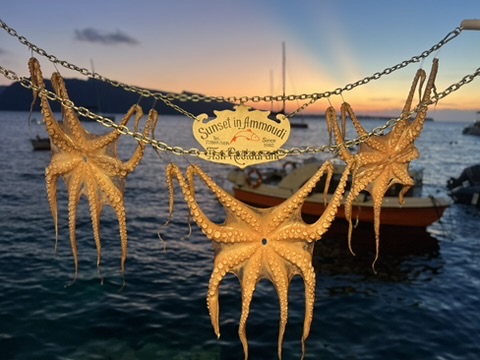 Travel T.E.A.S.E. 's image