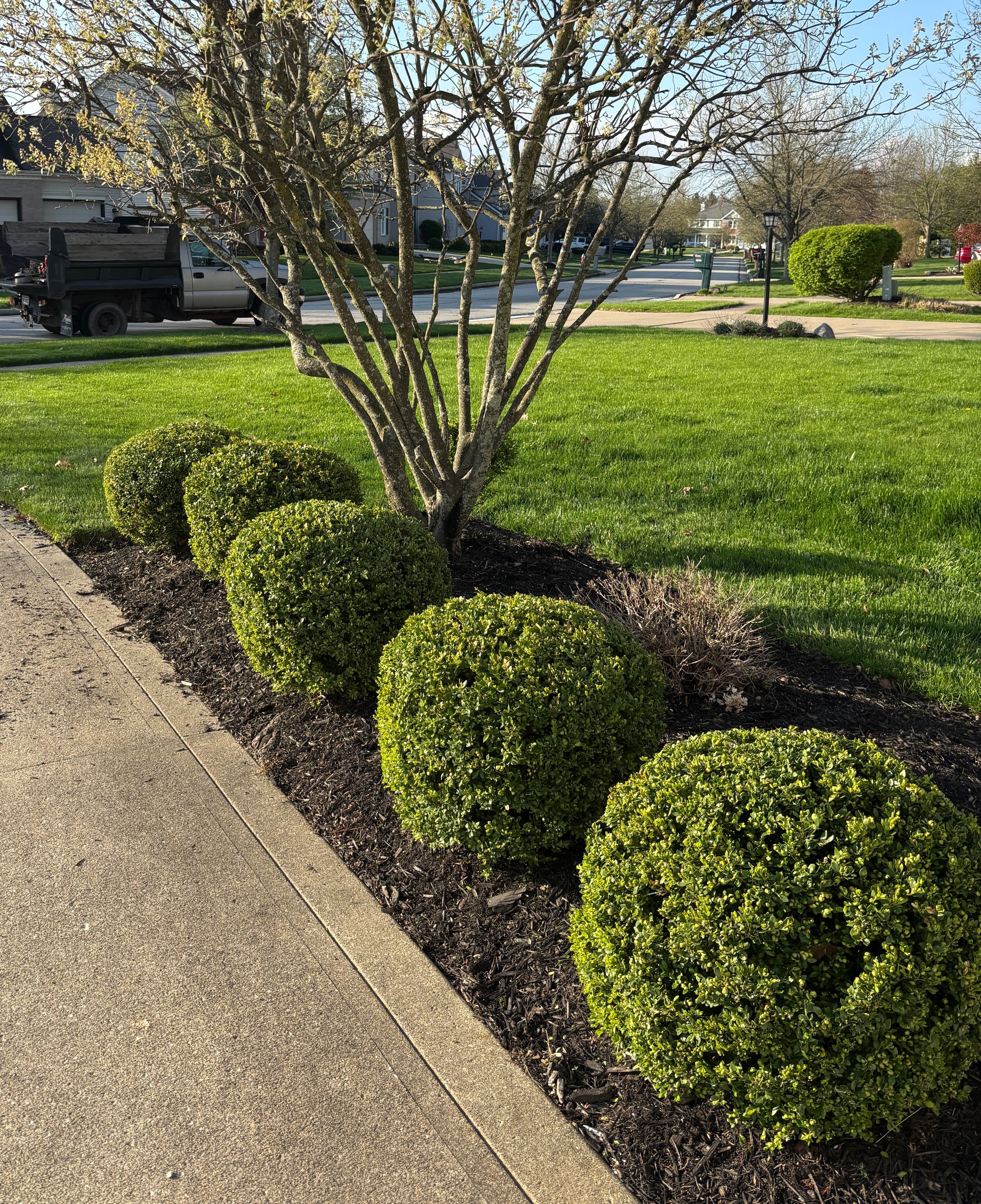 PJ’S Lawn Care Pros | Lawn Mowing & Landscaping's image