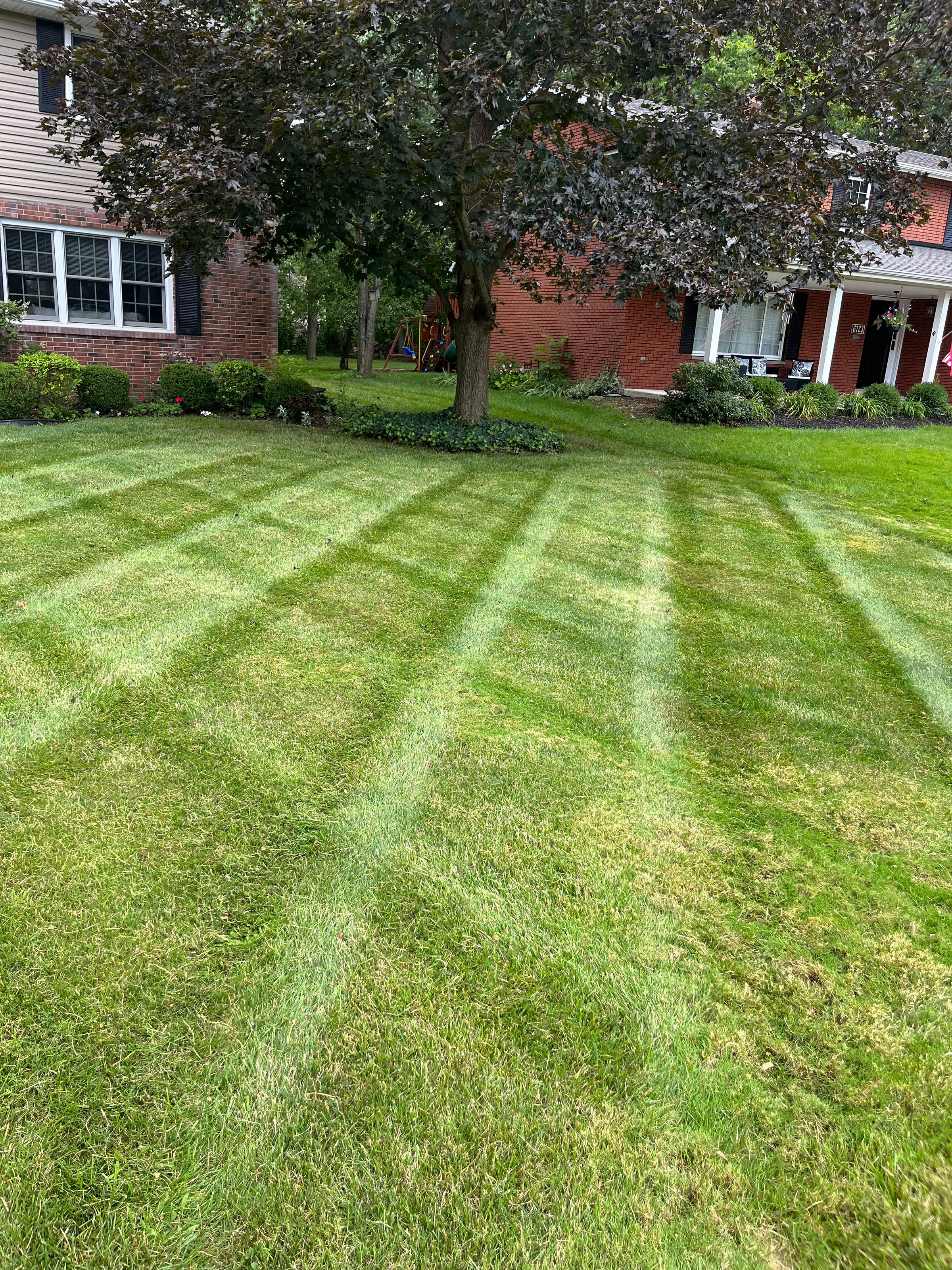 PJ’S Lawn Care Pros | Lawn Mowing & Landscaping's image