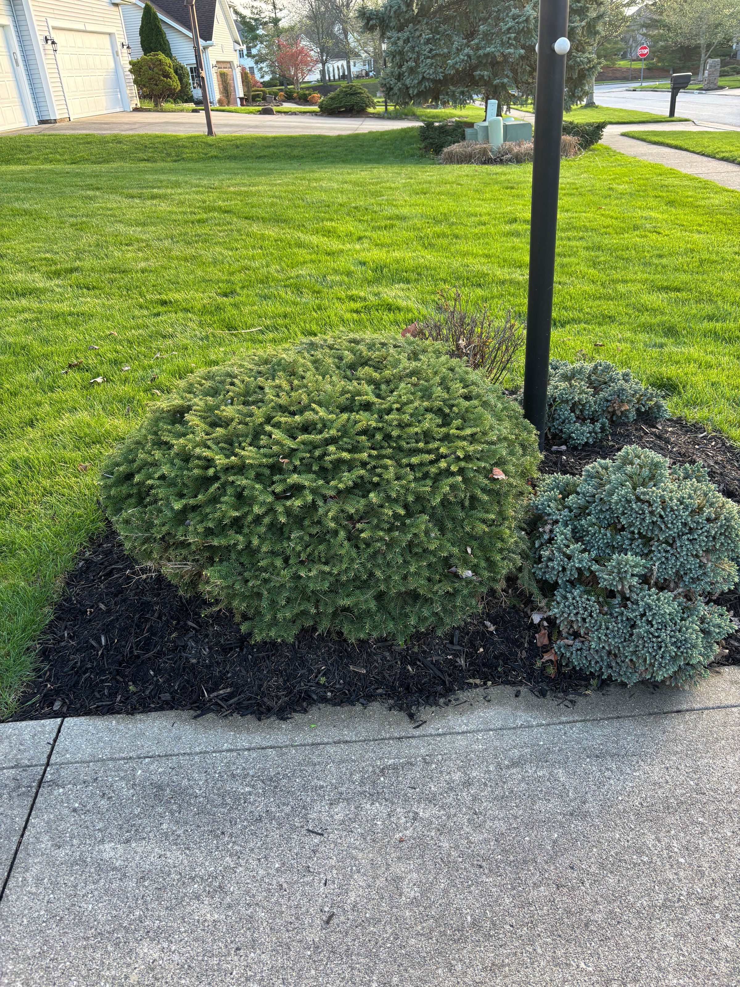 PJ’S Lawn Care Pros | Lawn Mowing & Landscaping's image