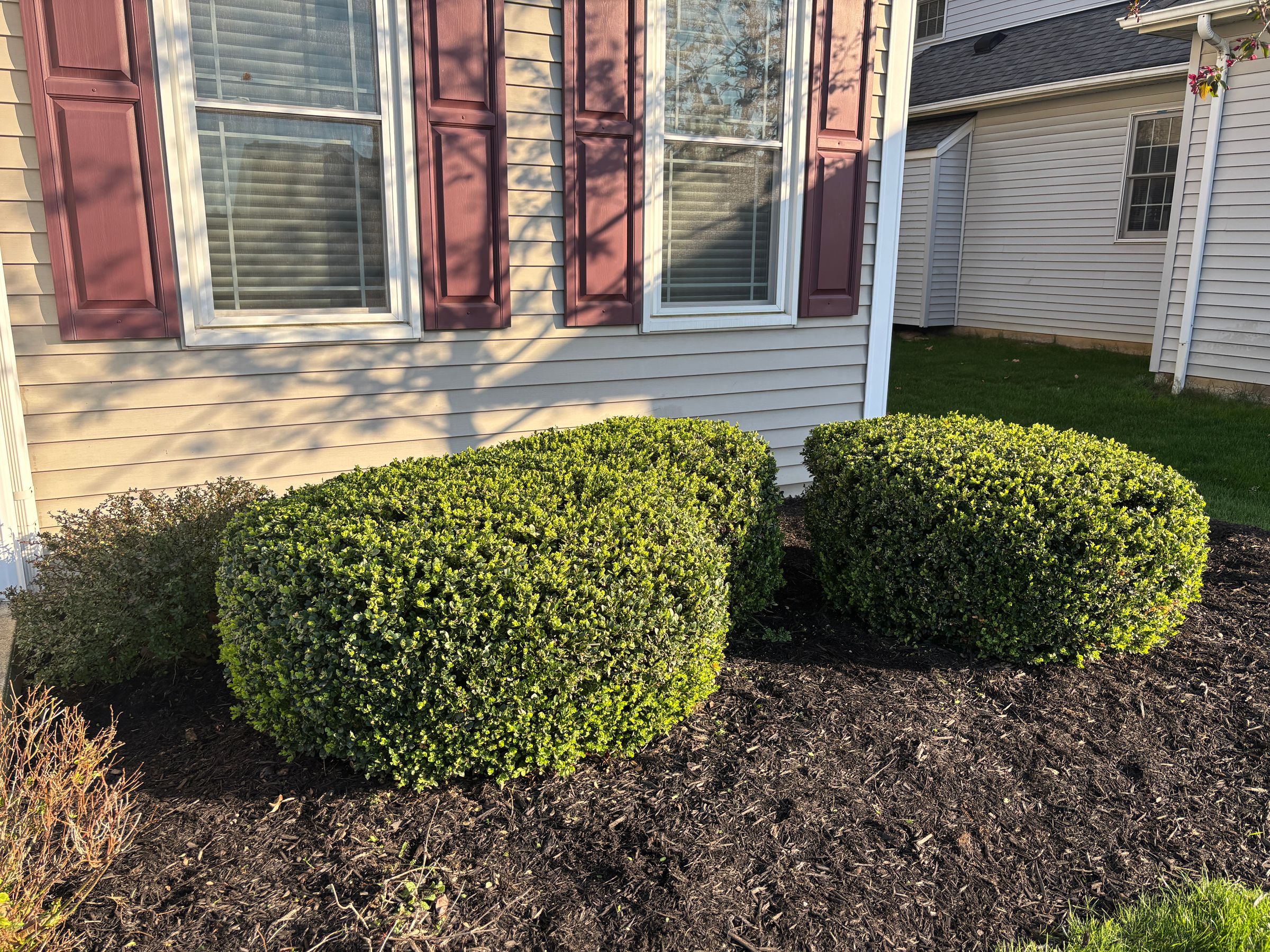 PJ’S Lawn Care Pros | Lawn Mowing & Landscaping's image