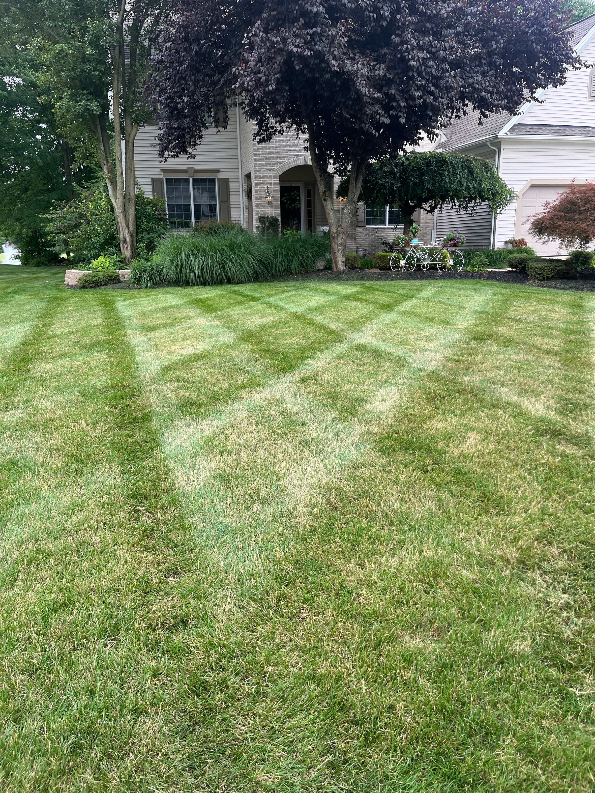 PJ’S Lawn Care Pros | Lawn Mowing & Landscaping's image