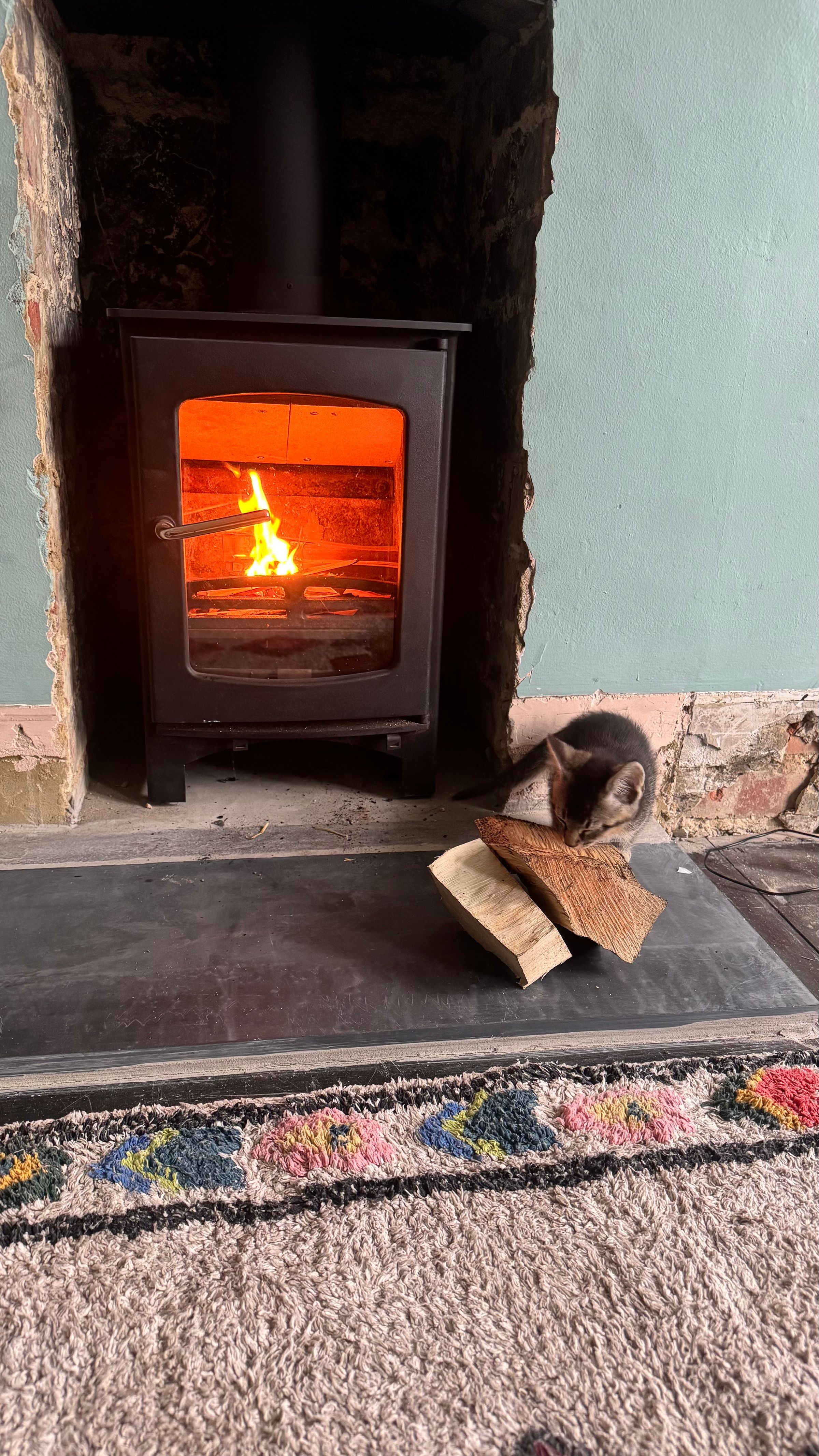 South Coast Stoves Bexhill 's image