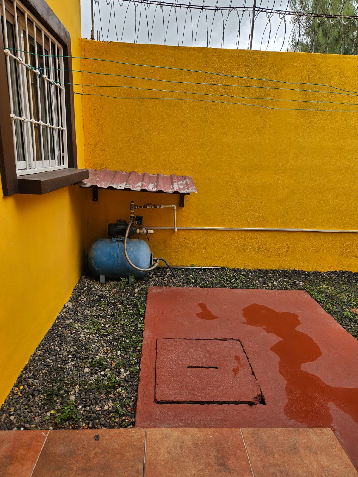 's image