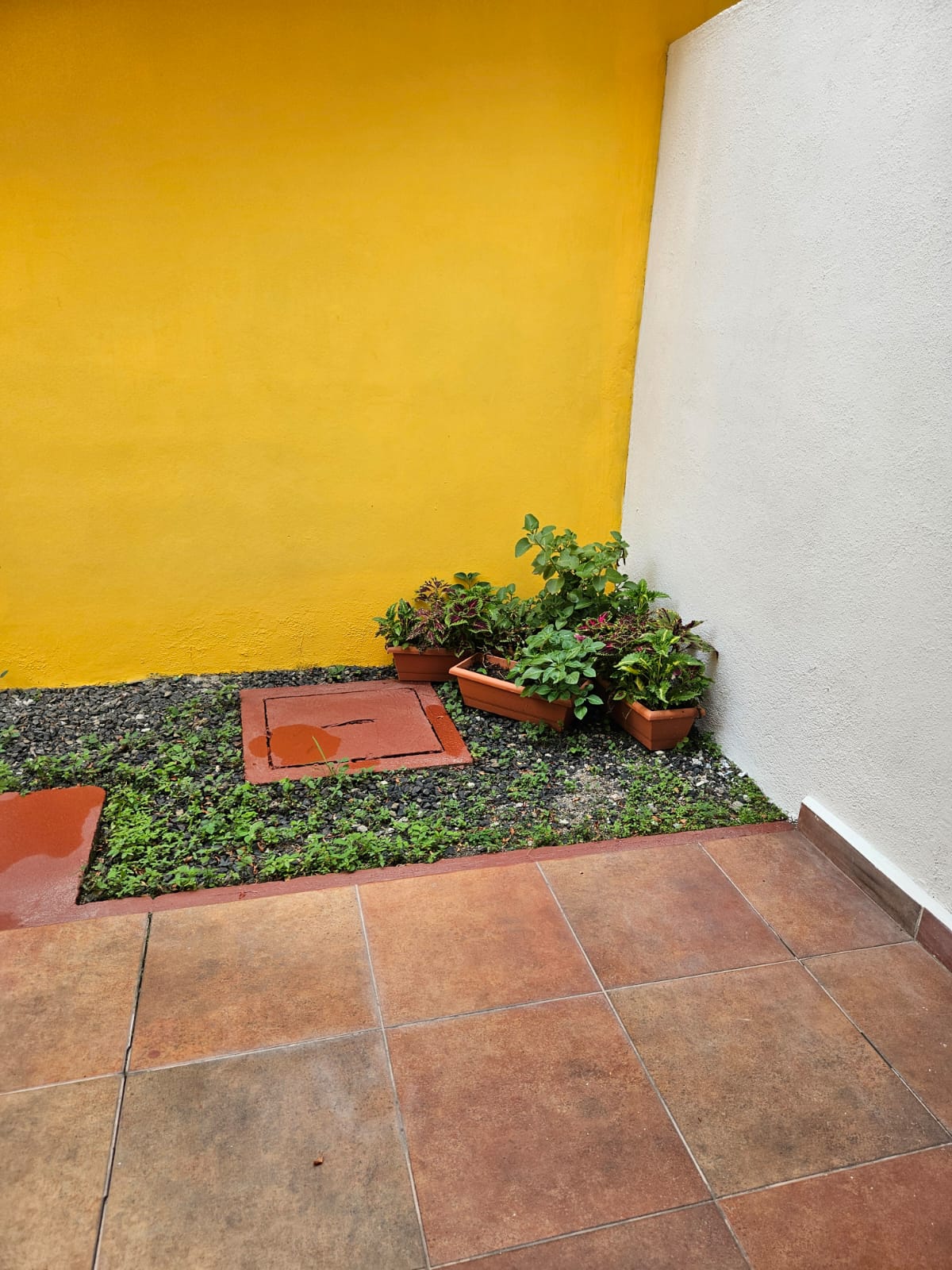 's image