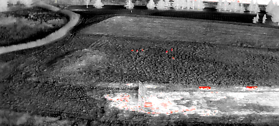 TerraView Aerials LLC's image