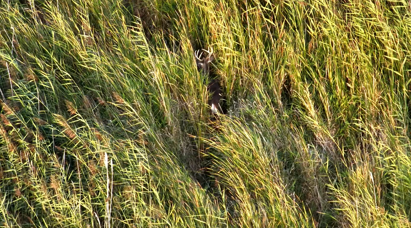 TerraView Aerials LLC's image