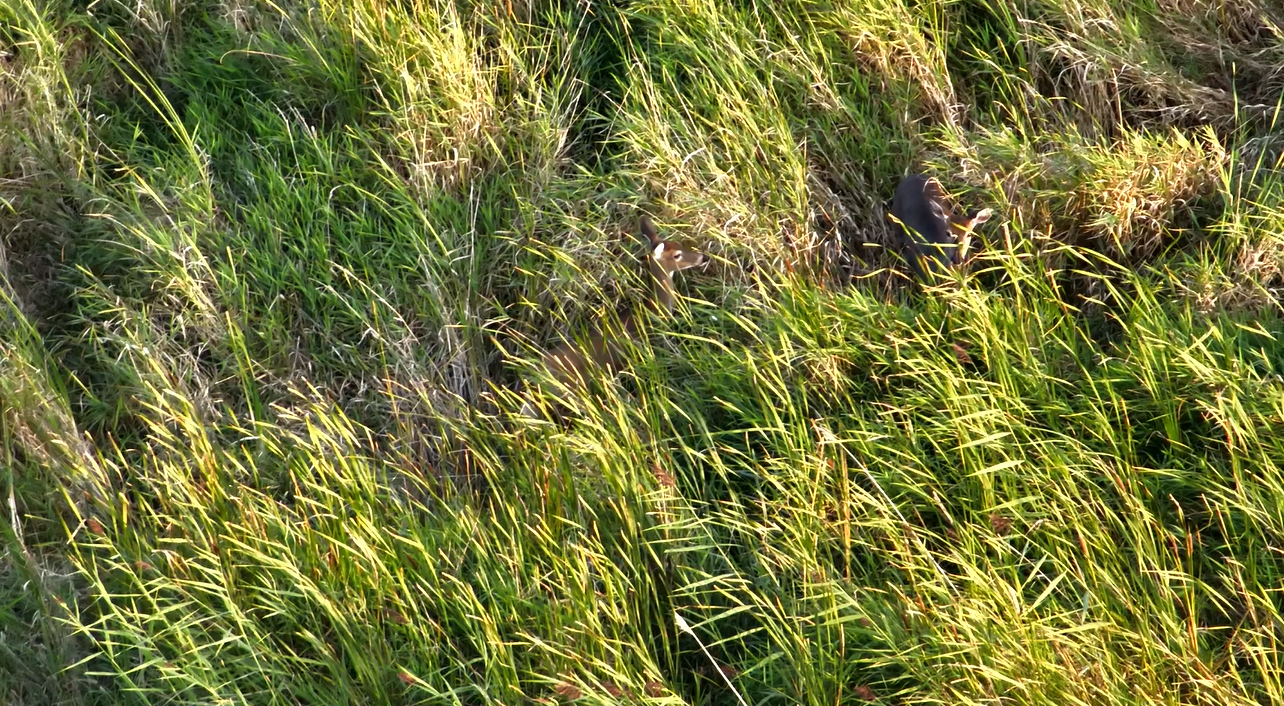 TerraView Aerials LLC's image