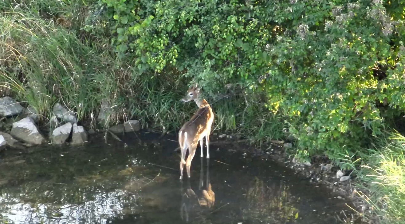 TerraView Aerials LLC's image