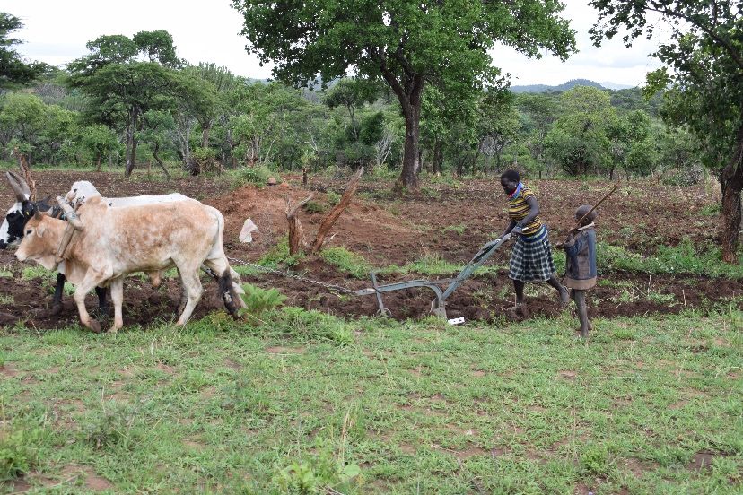 Agro-pastoralism