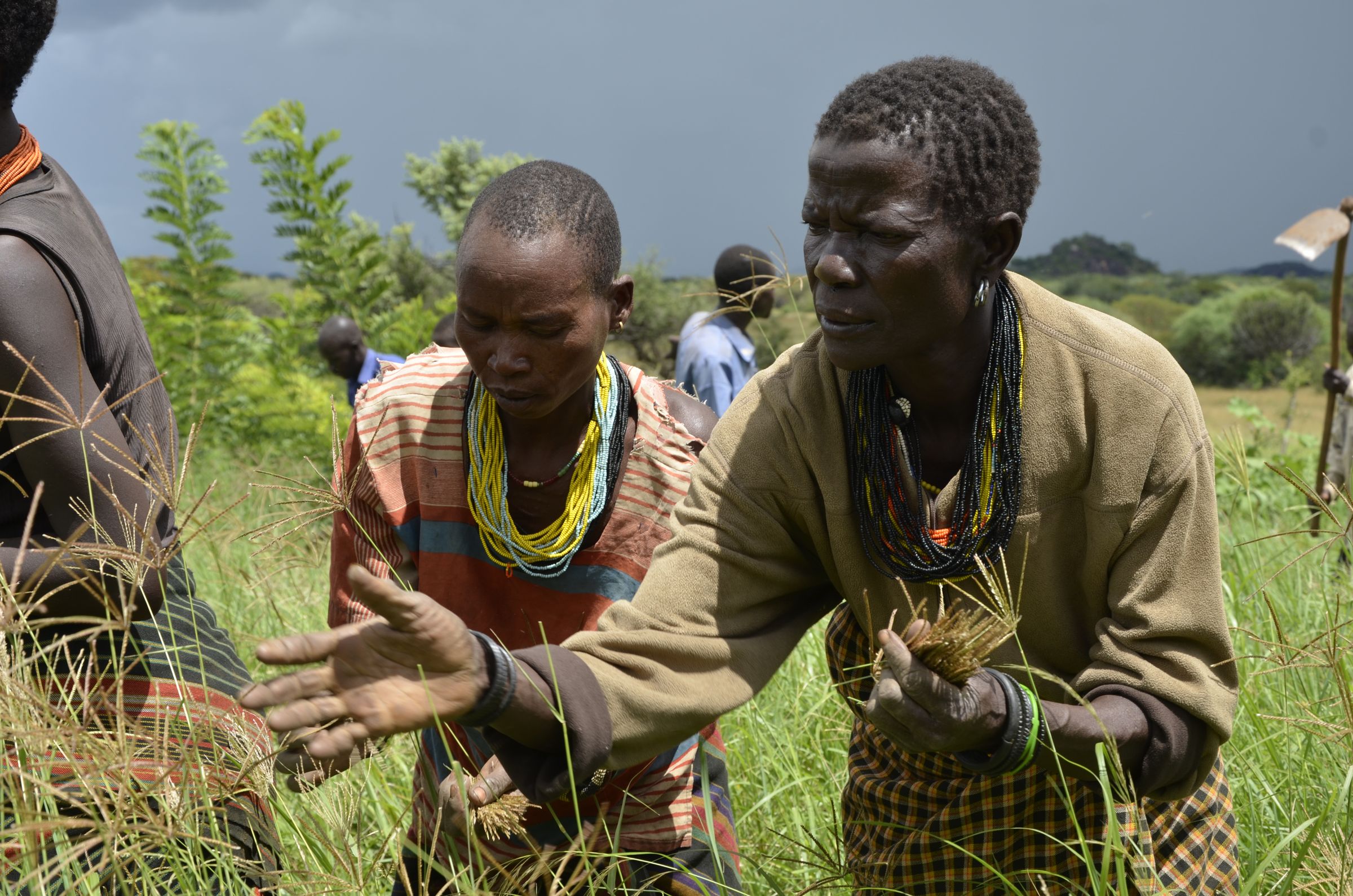 Women landrights