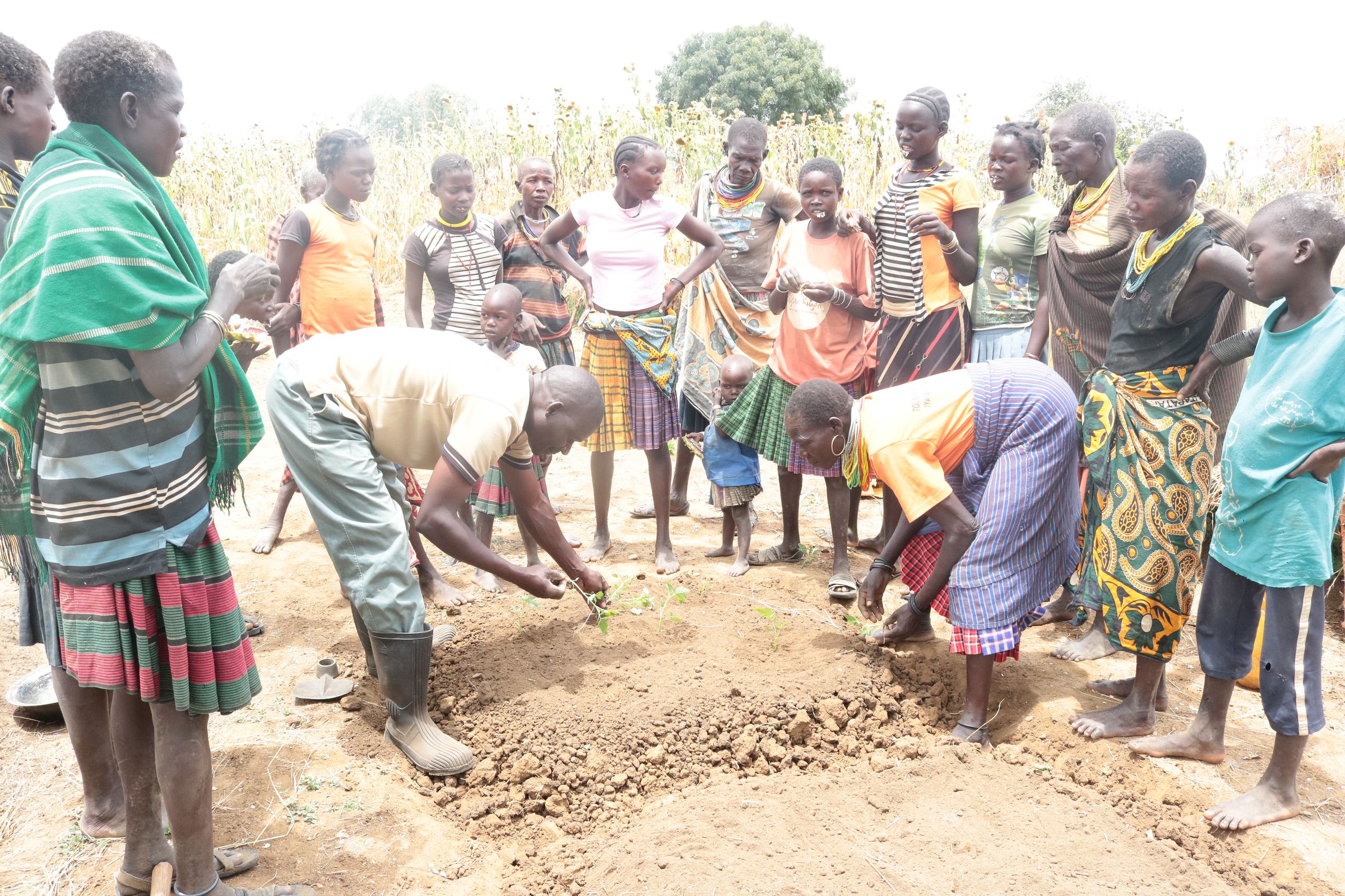 Dryland climate smart agriculture