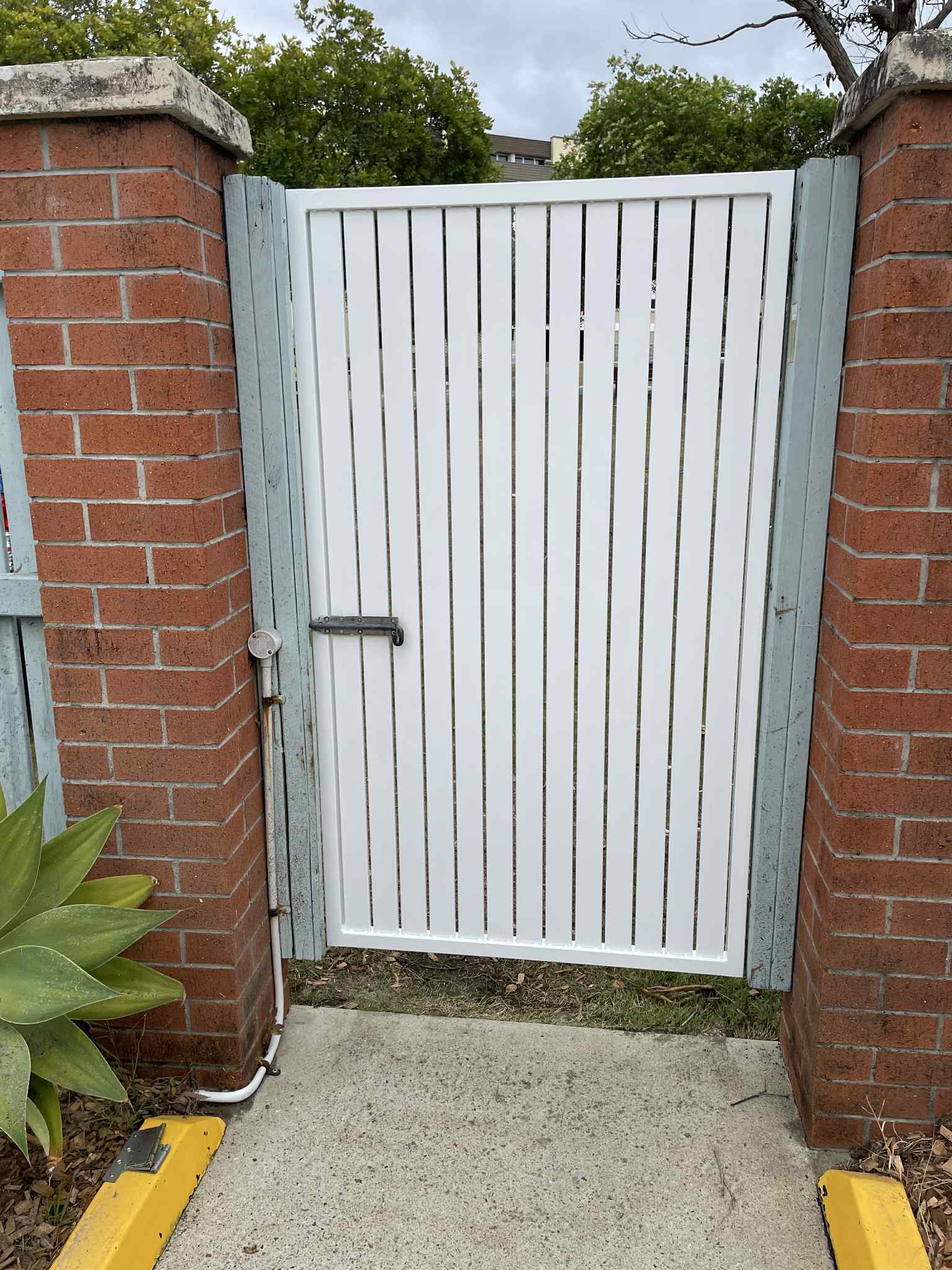 Silver's customs's image