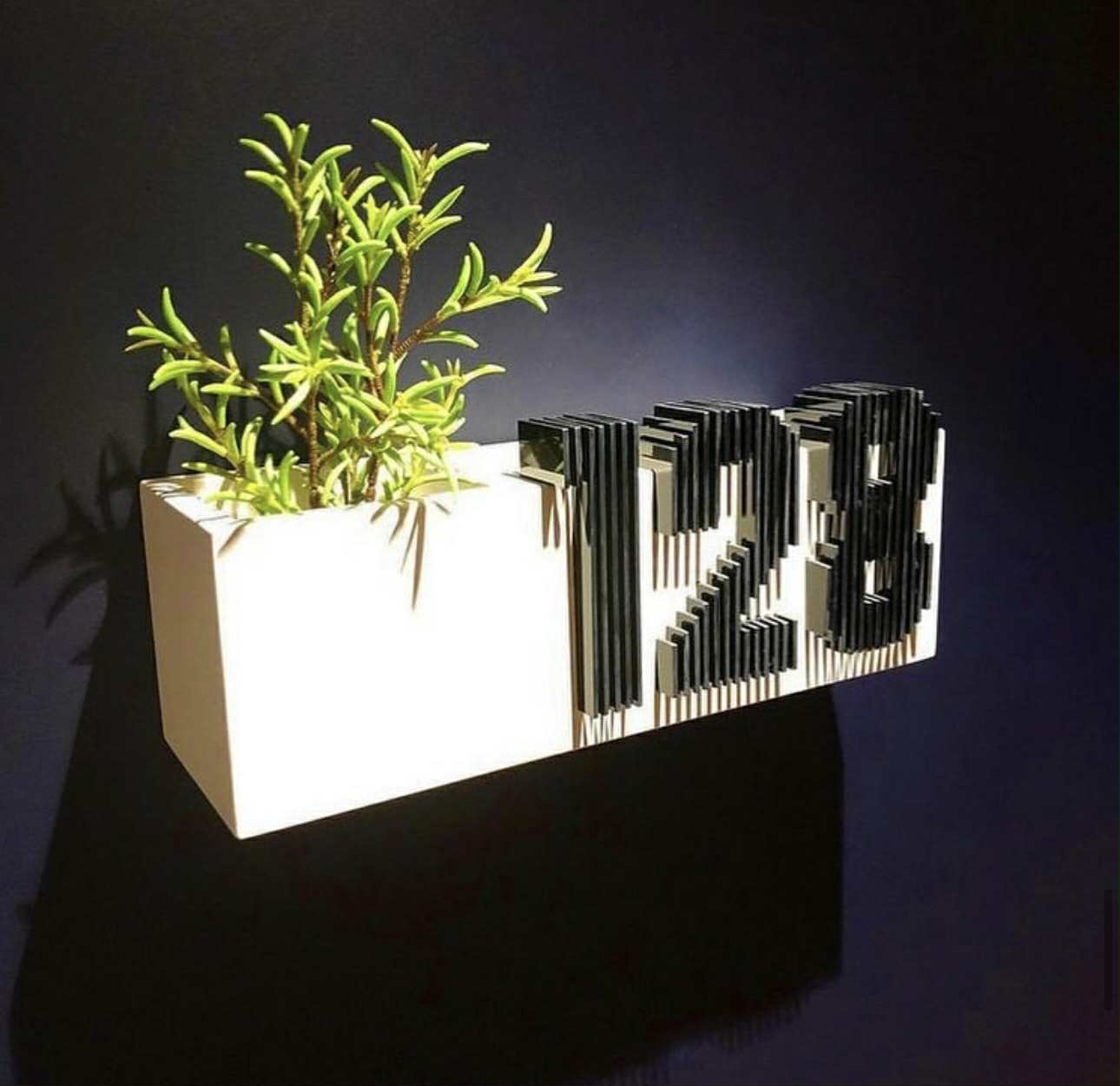 Silver's customs's image