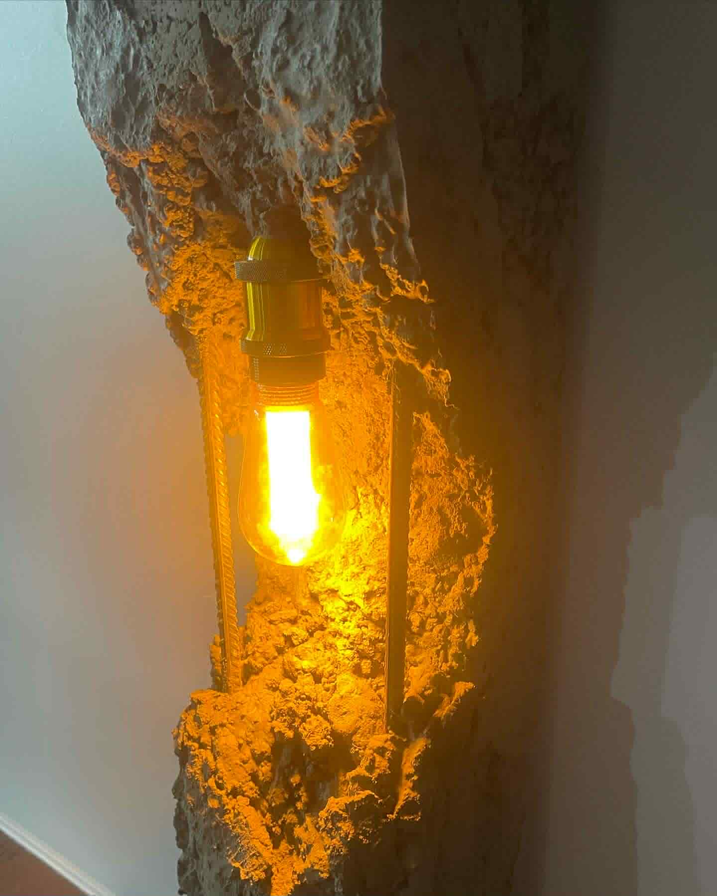 Silver's customs's image