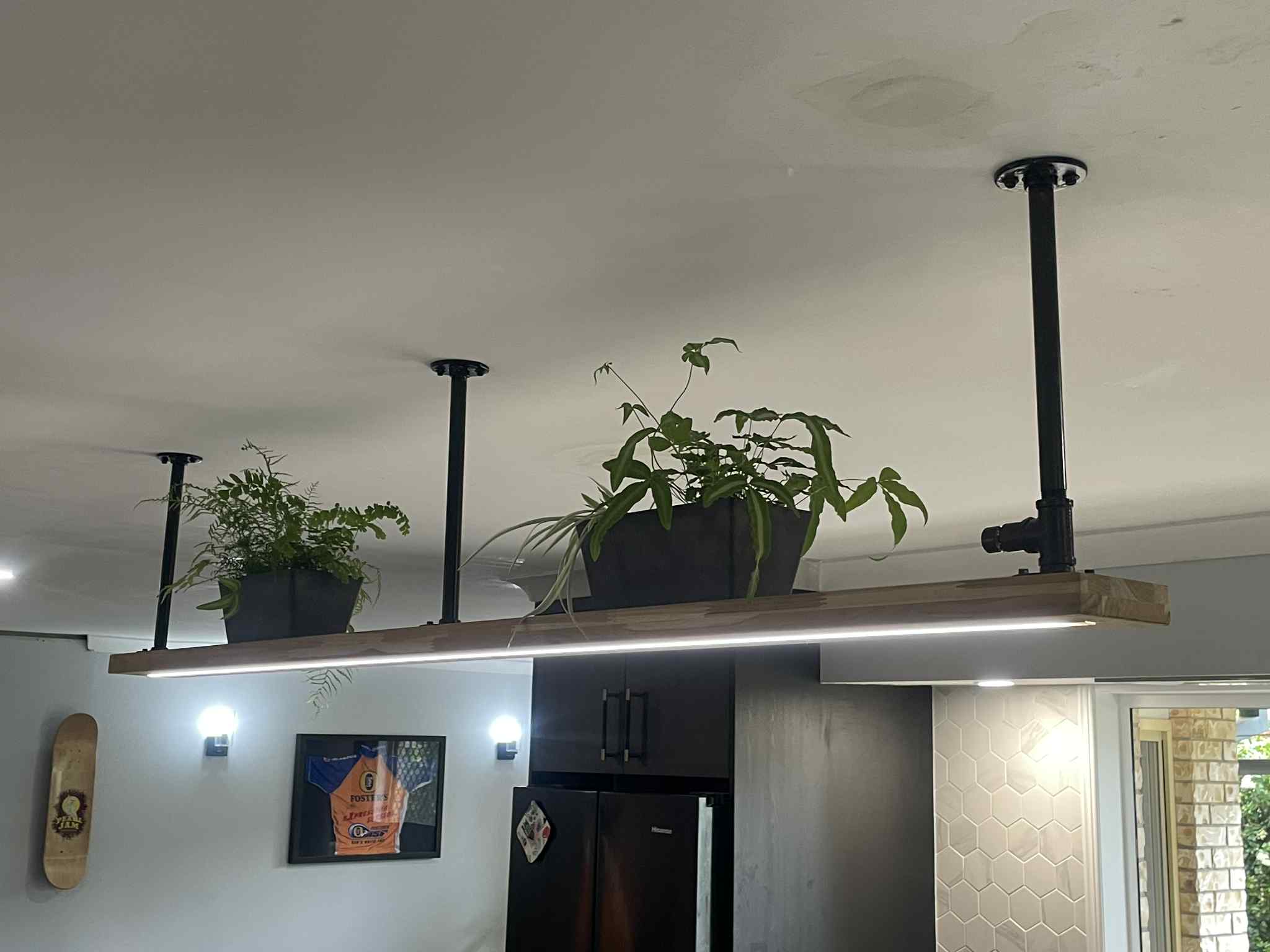 Silver's customs's image