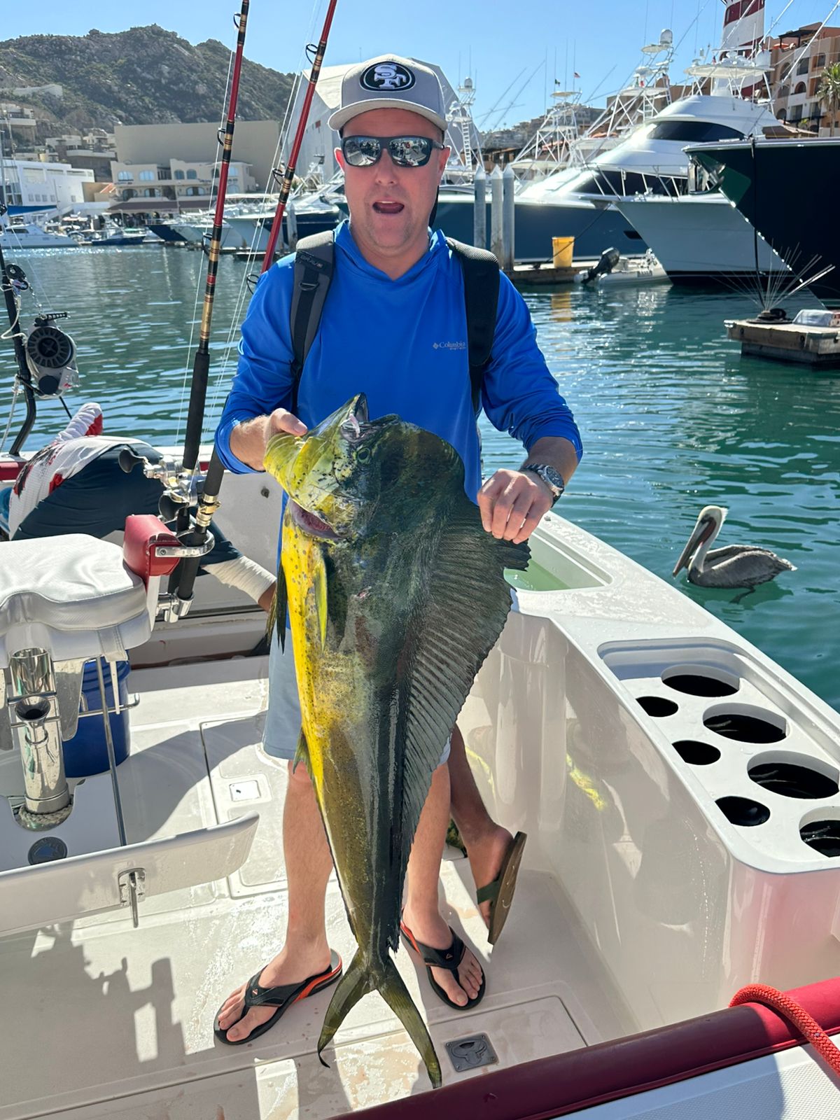 Mahi mahi.