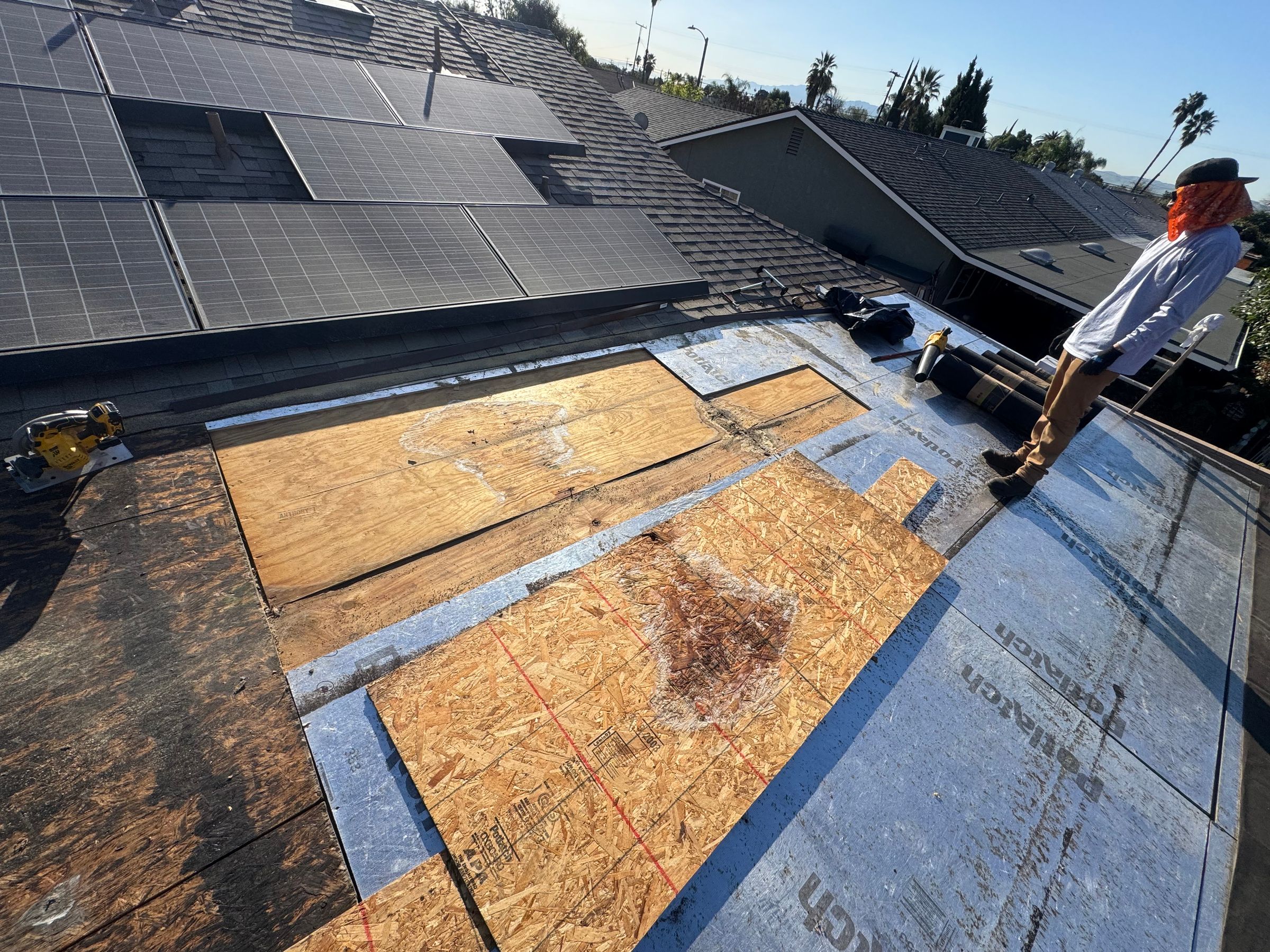 Upland Plywood water damage
