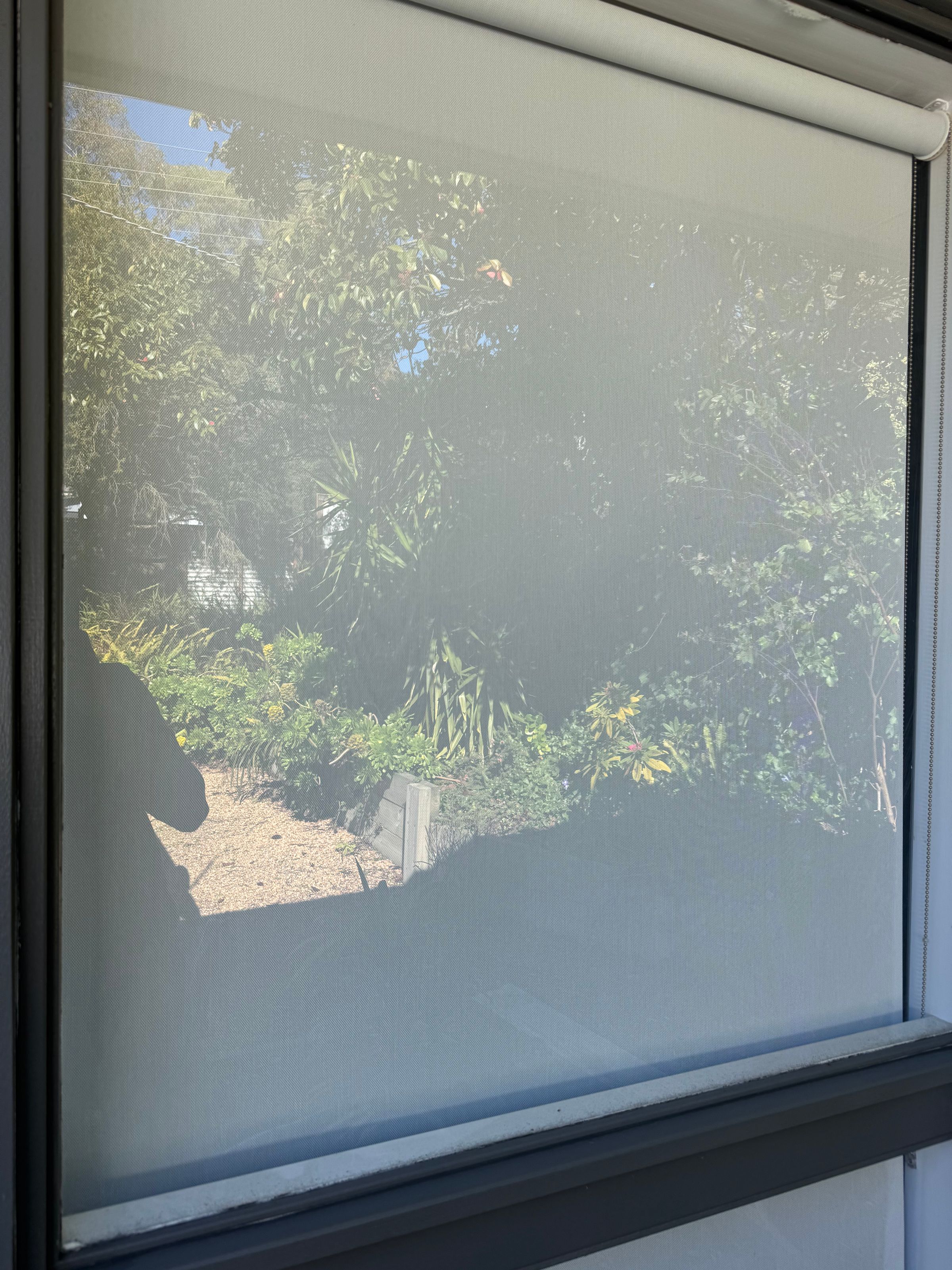 supreme clean Windows's image