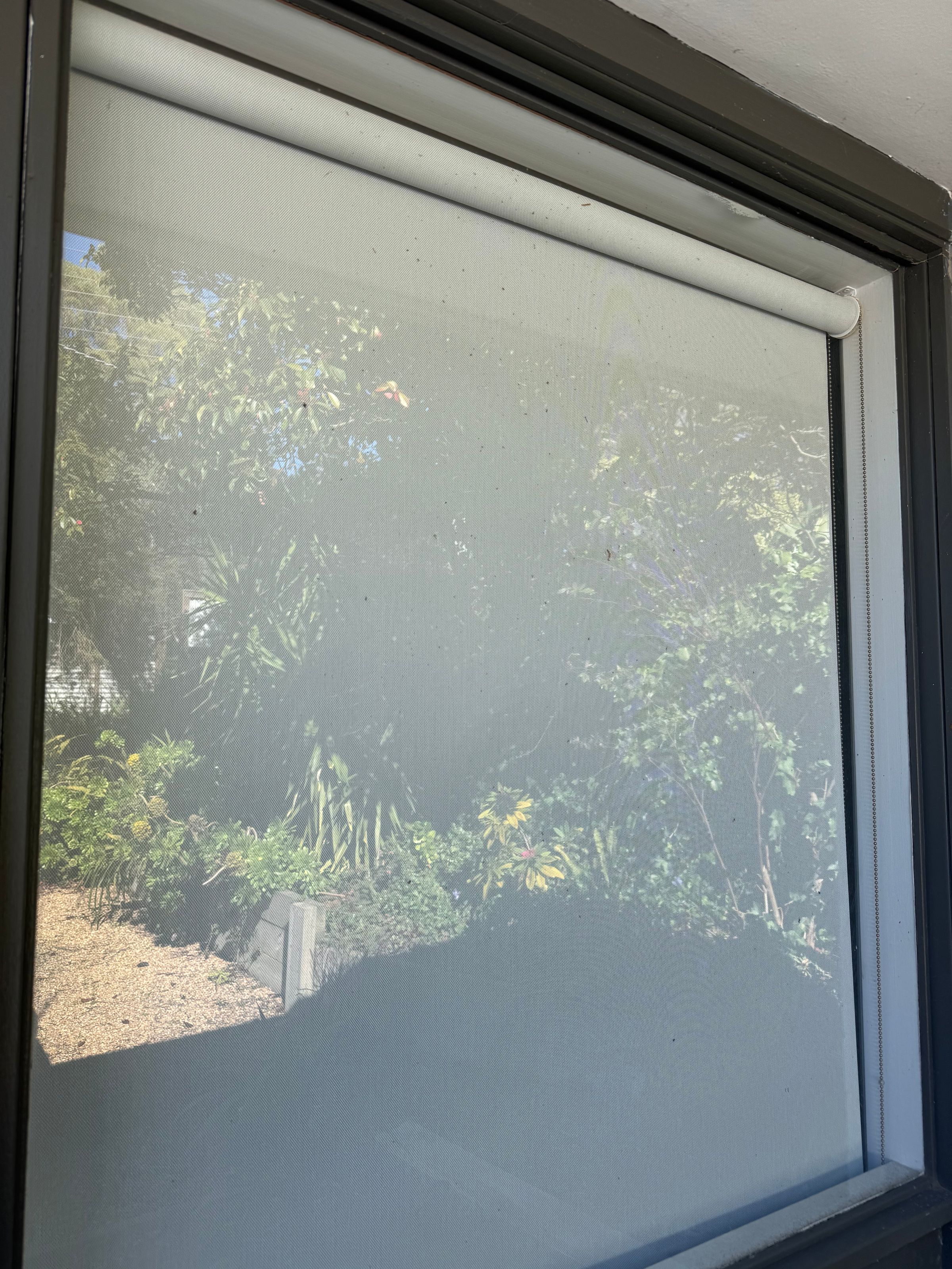 supreme clean Windows's image