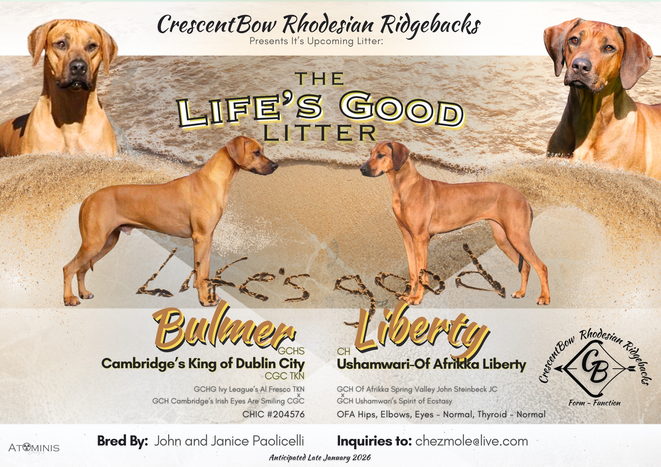 CrescentBow Rhodesian Ridgebacks's image