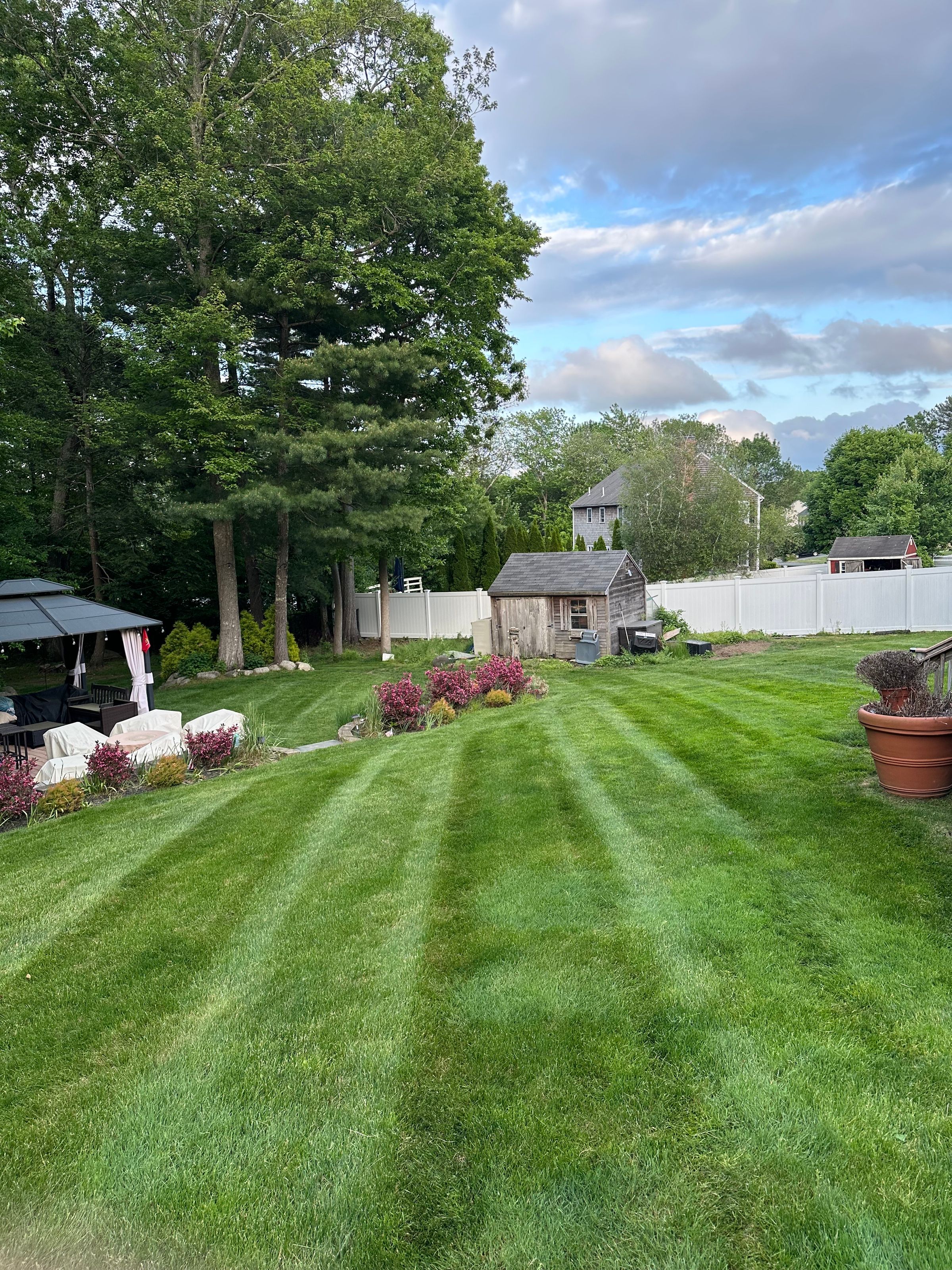 Mass Roots Landscaping 's image