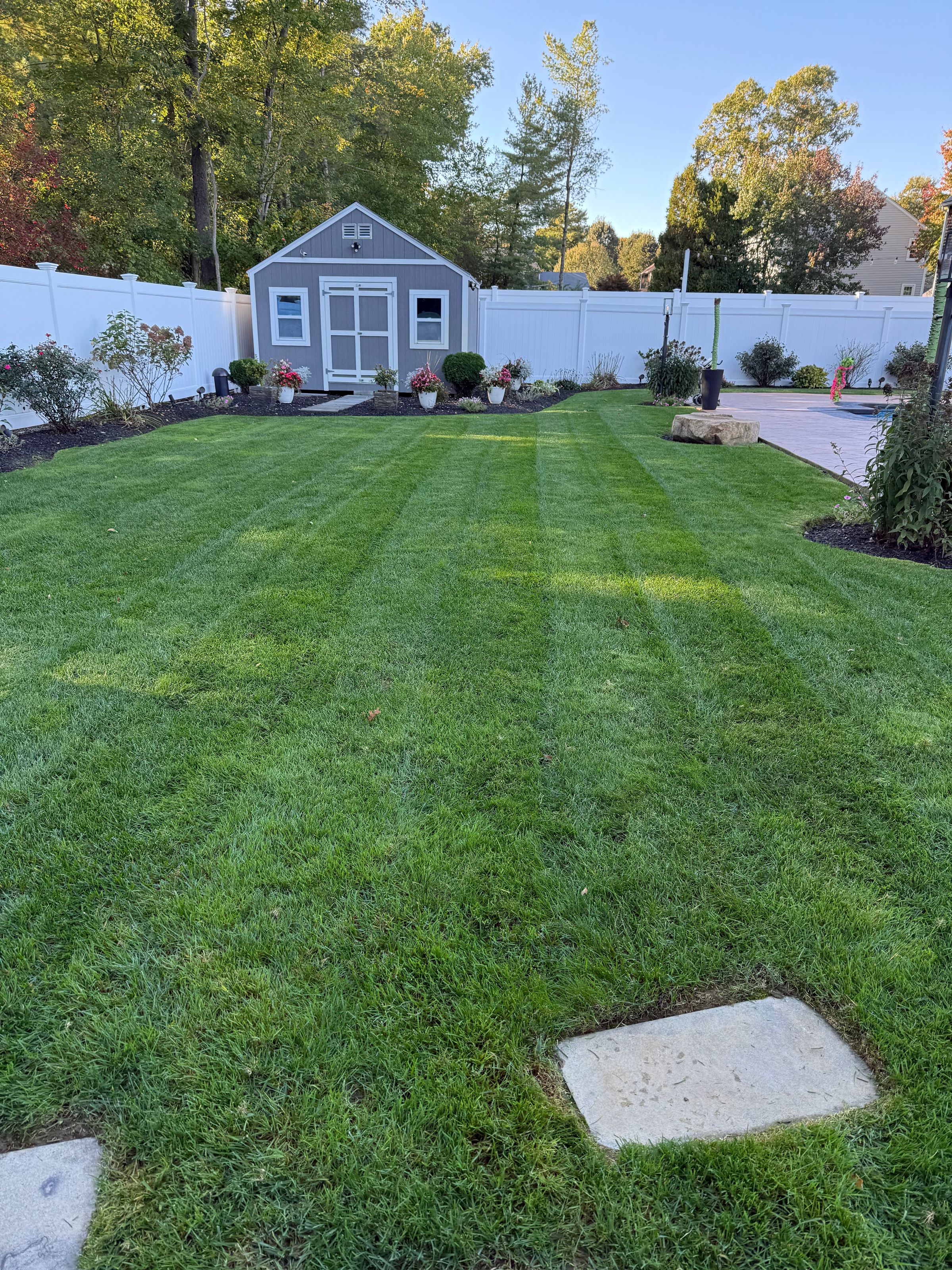 Mass Roots Landscaping 's image