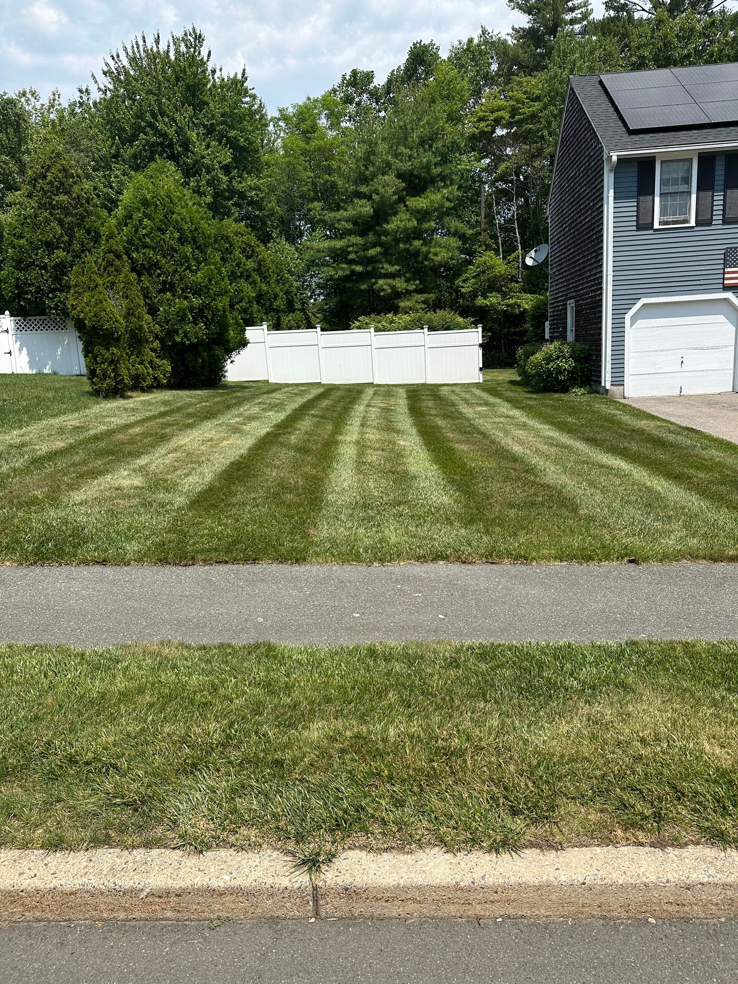 Mass Roots Landscaping 's image