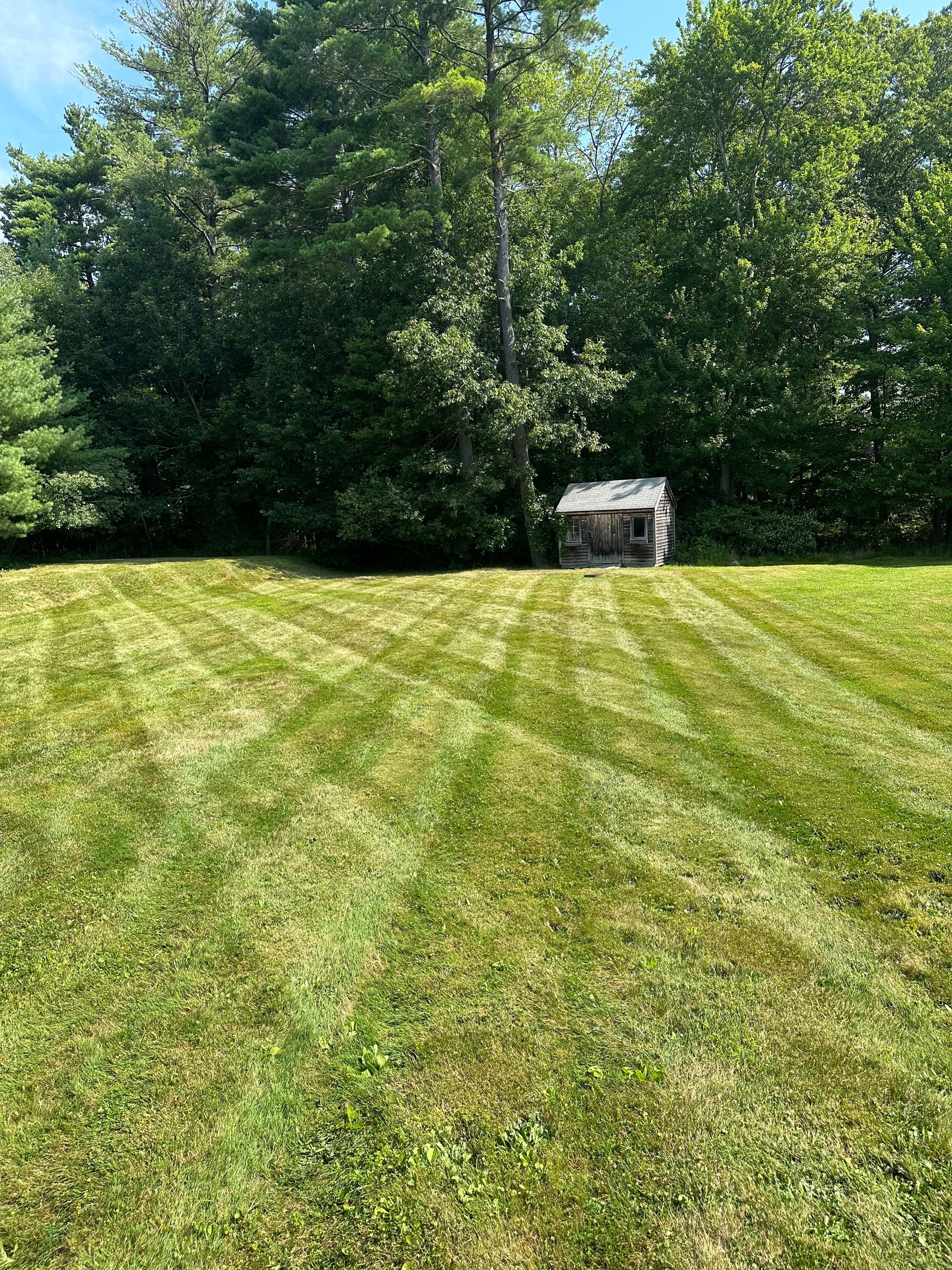 Mass Roots Landscaping 's image