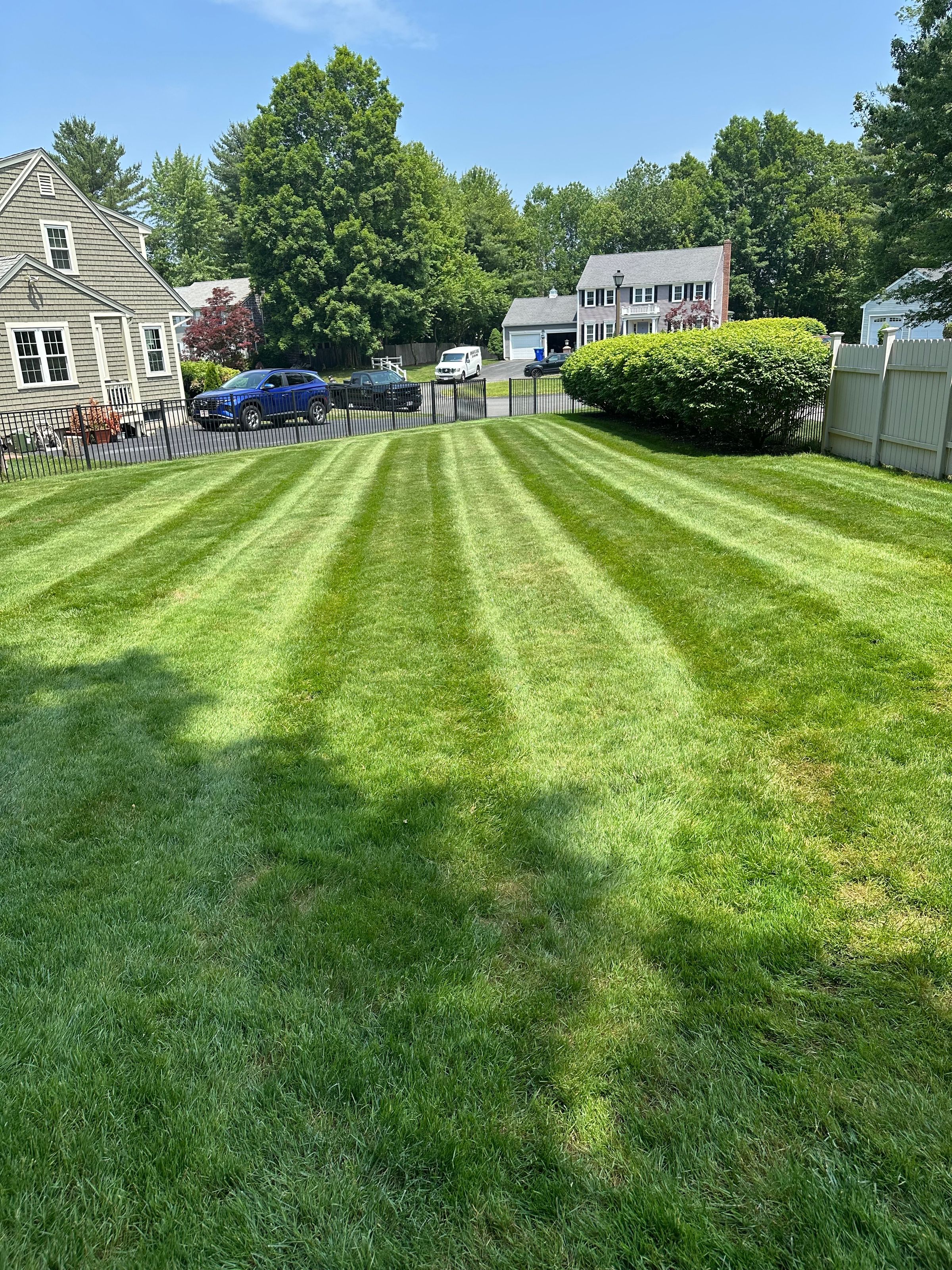 Mass Roots Landscaping 's image