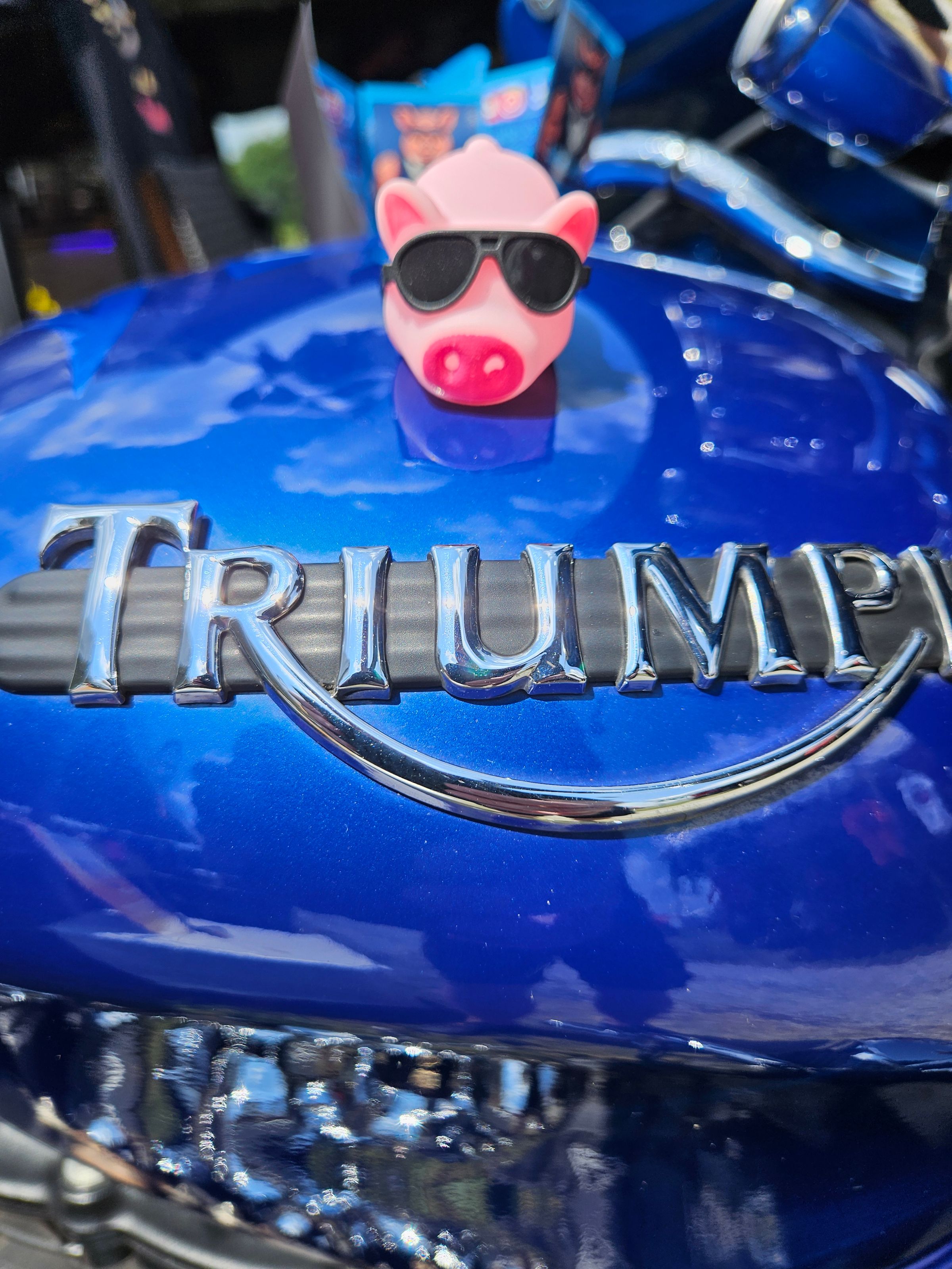 Love that pig!