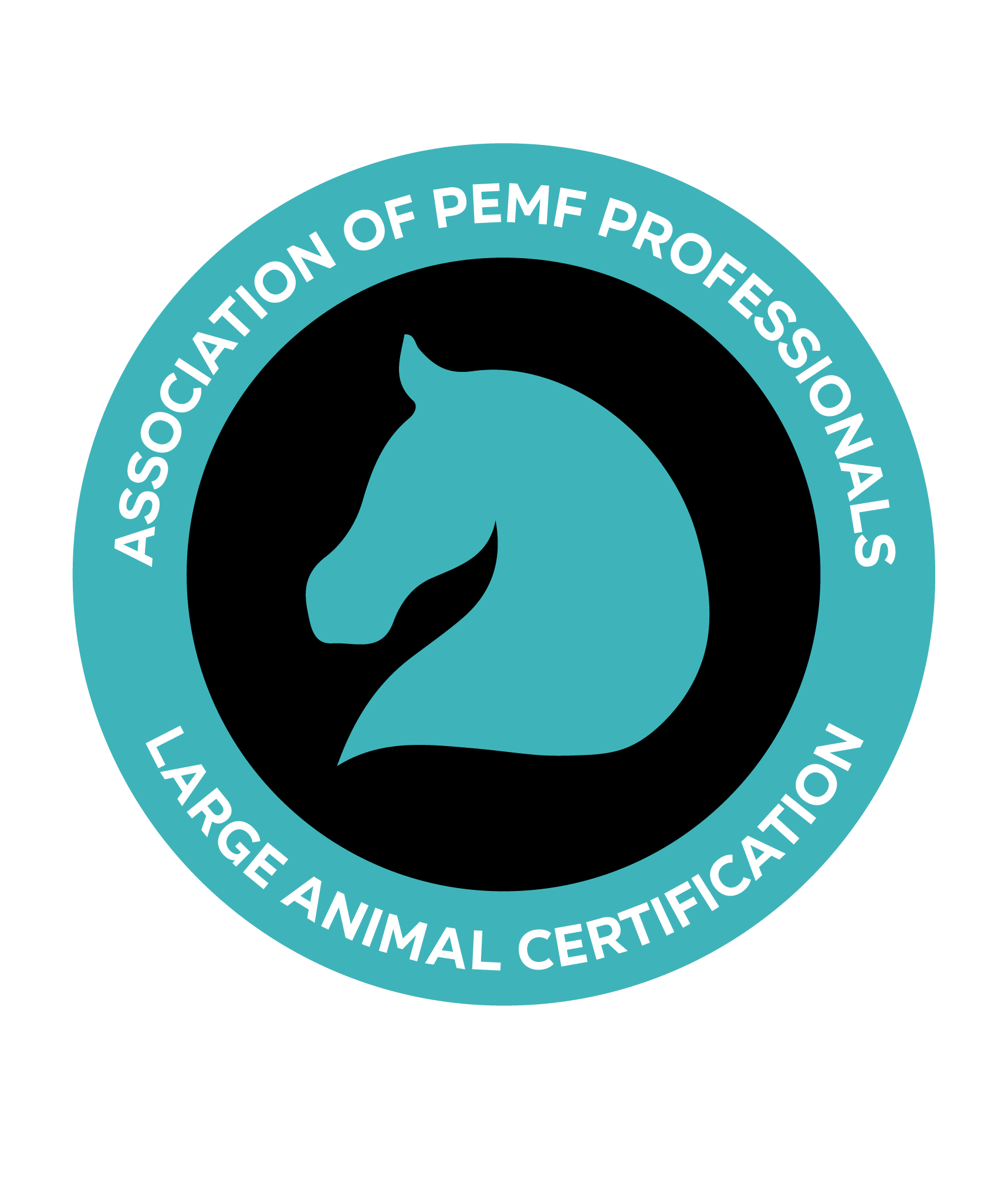 J Equine - Sheath Cleaning, Clipping Service, PEMF Therapy's image