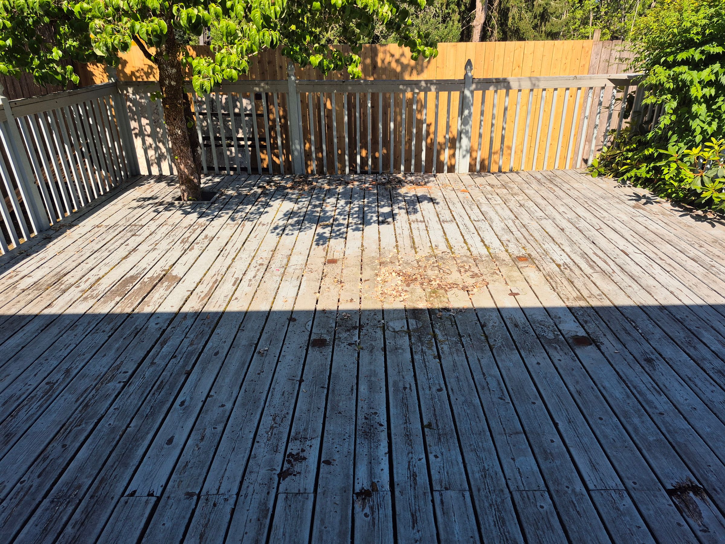 Your Neighborhood's image