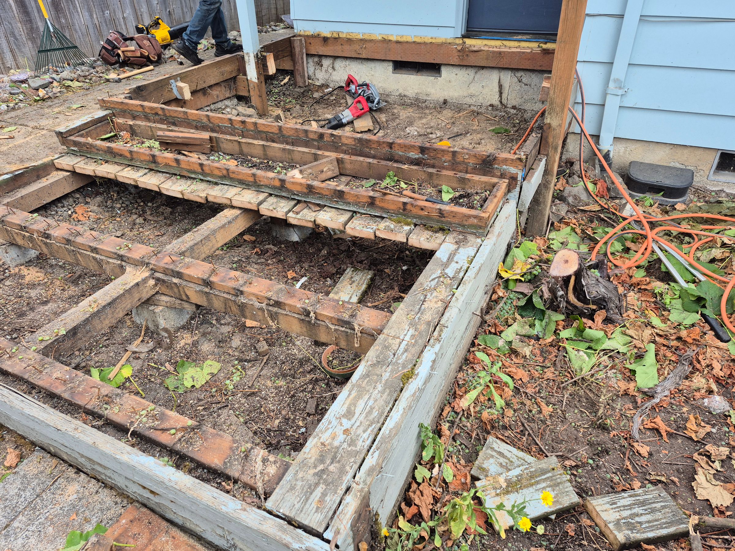 Your Neighborhood's image