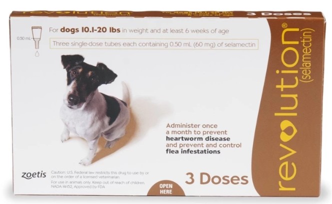 SINGAPORE PET CARE SUPPLIES RETAILER 's image